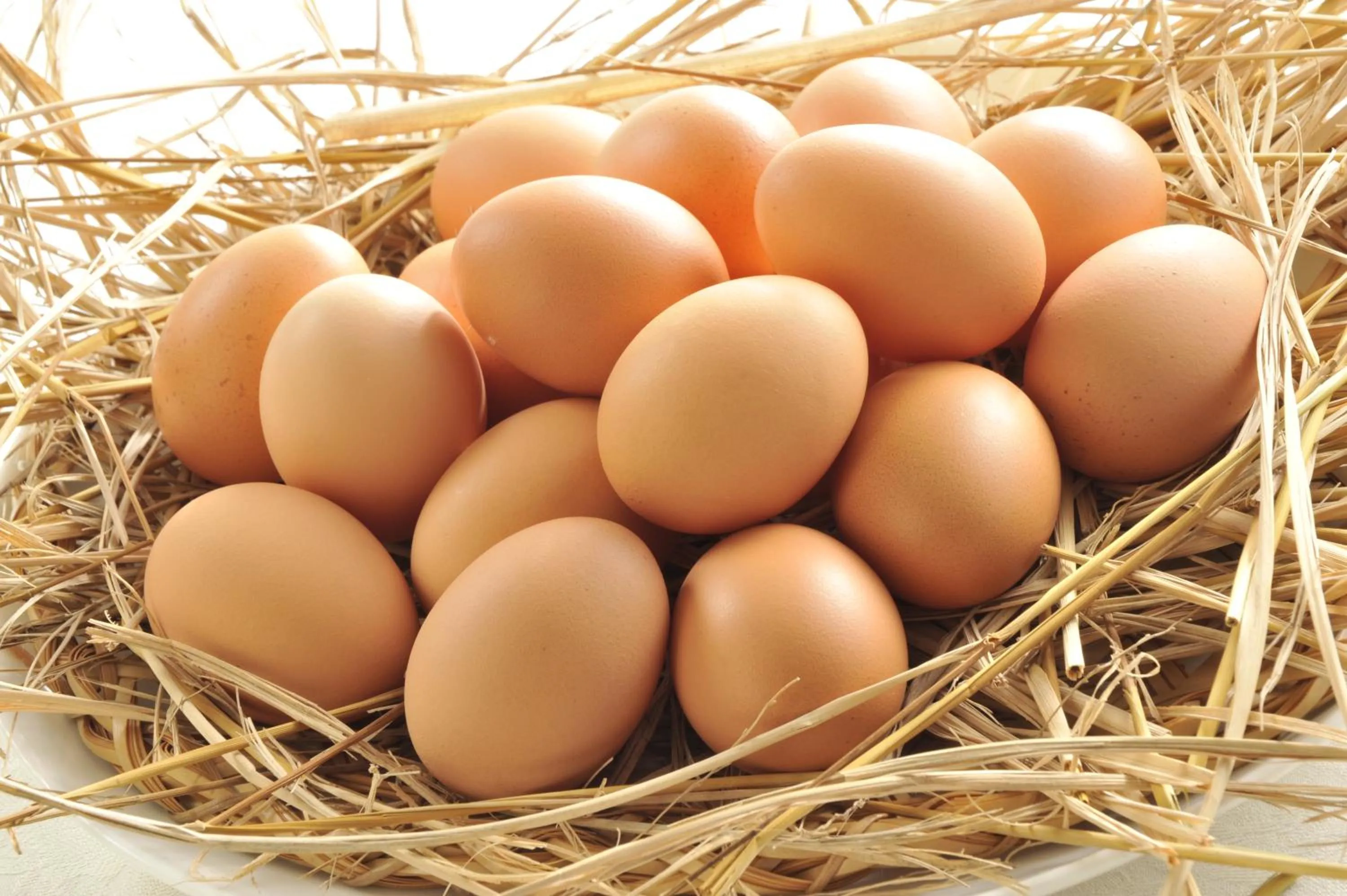 Hotel Crown Palais Kitakyushu