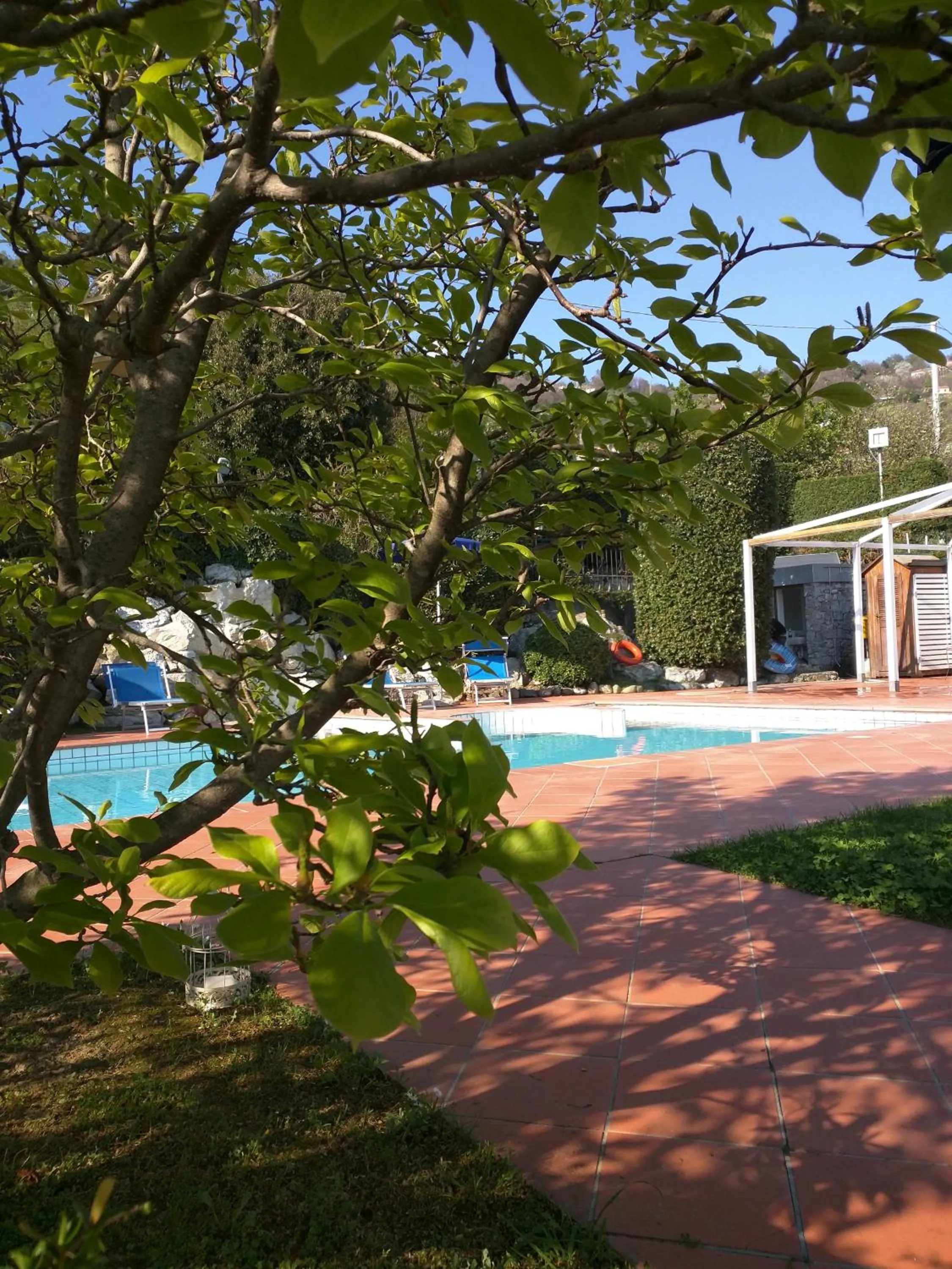 Swimming pool in Hotel La Vigna
