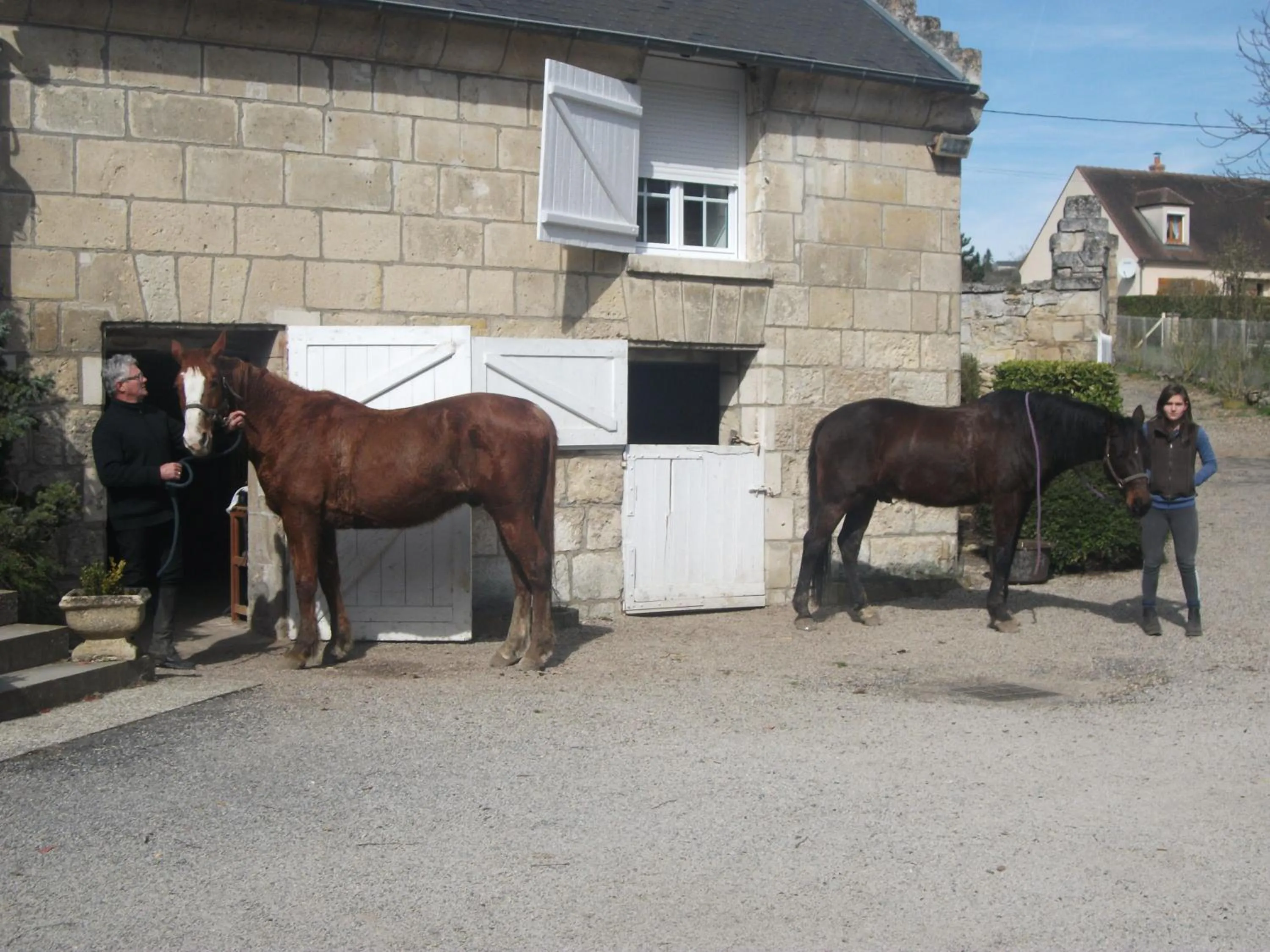Animals in Le Moulin De Laval