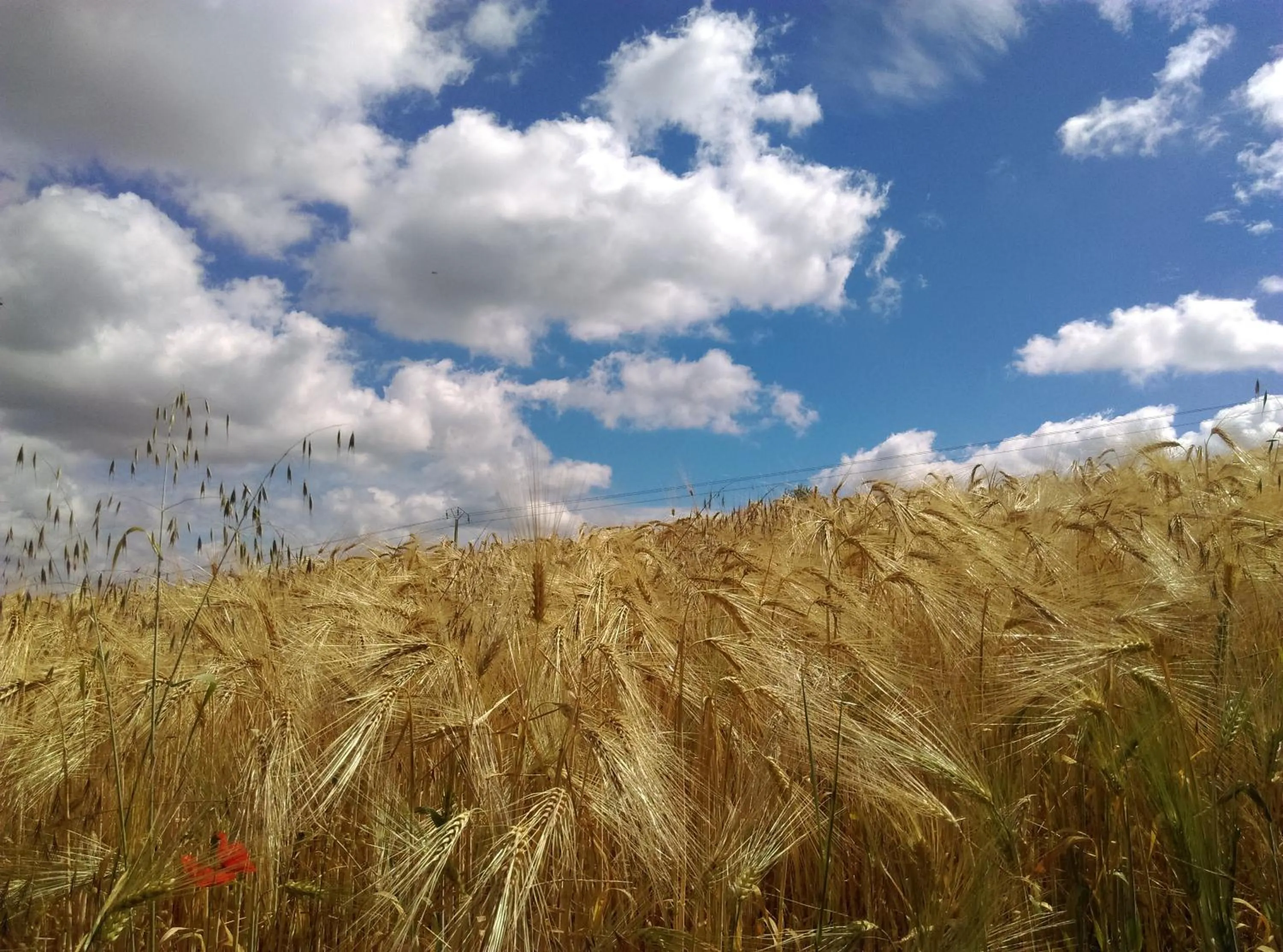 Property building in Le Moulin De Laval