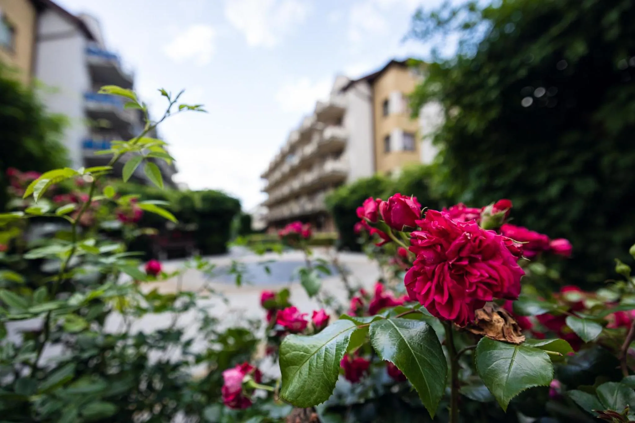 Property building in Apartamenty Zdrojowa