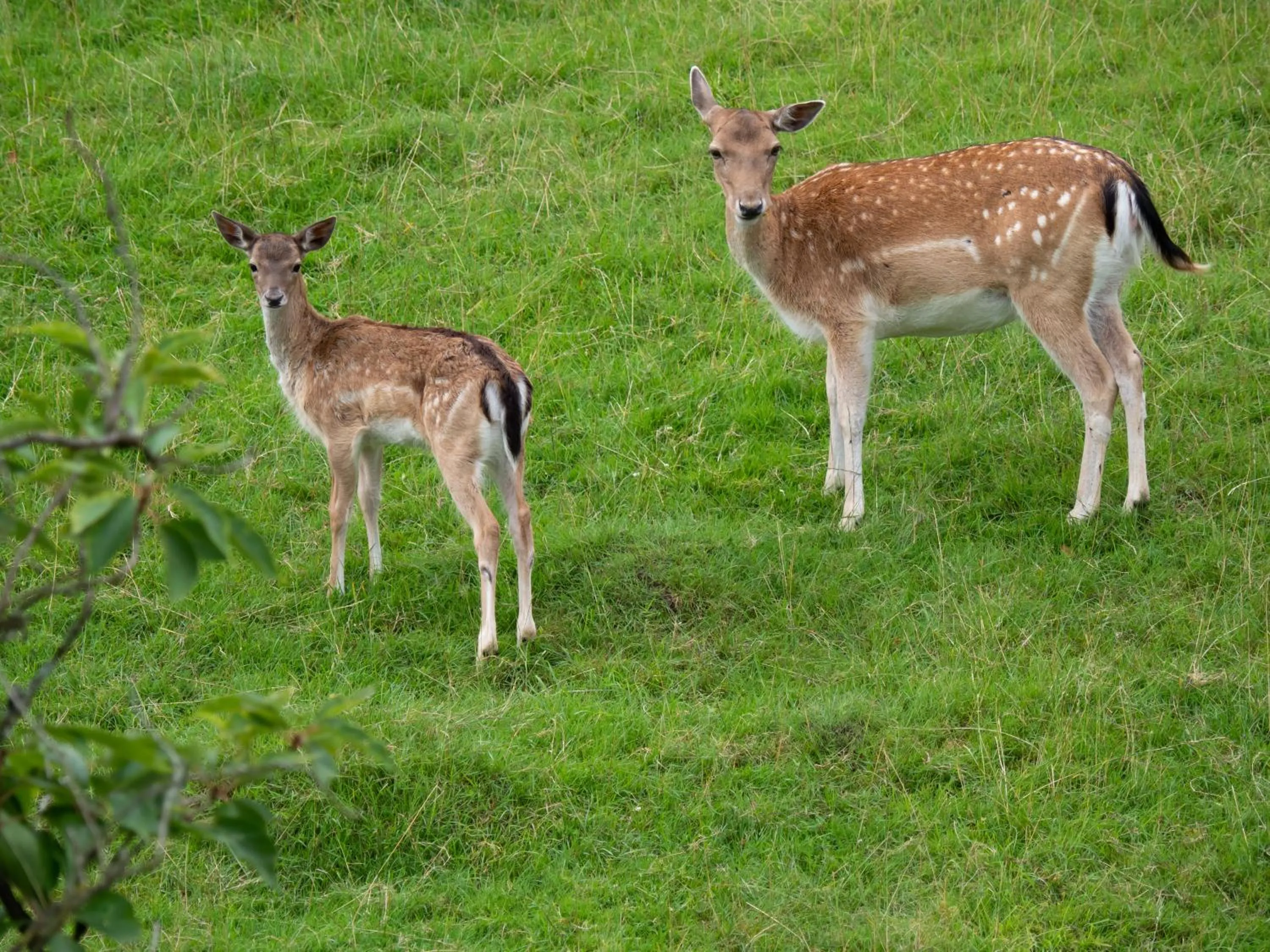View (from property/room) in Waldhotel Felsenkeller