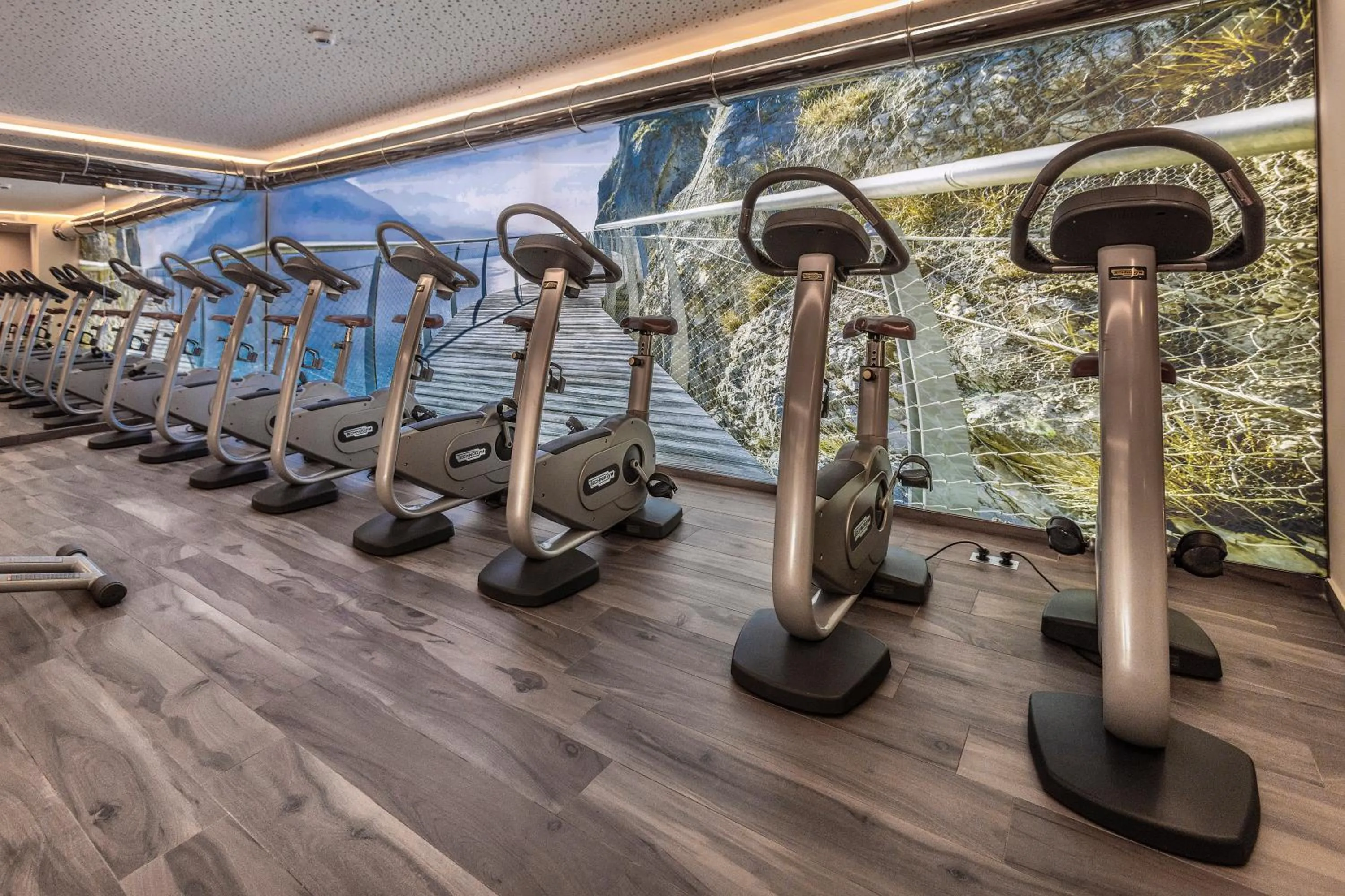 Fitness centre/facilities in Park Hotel Imperial