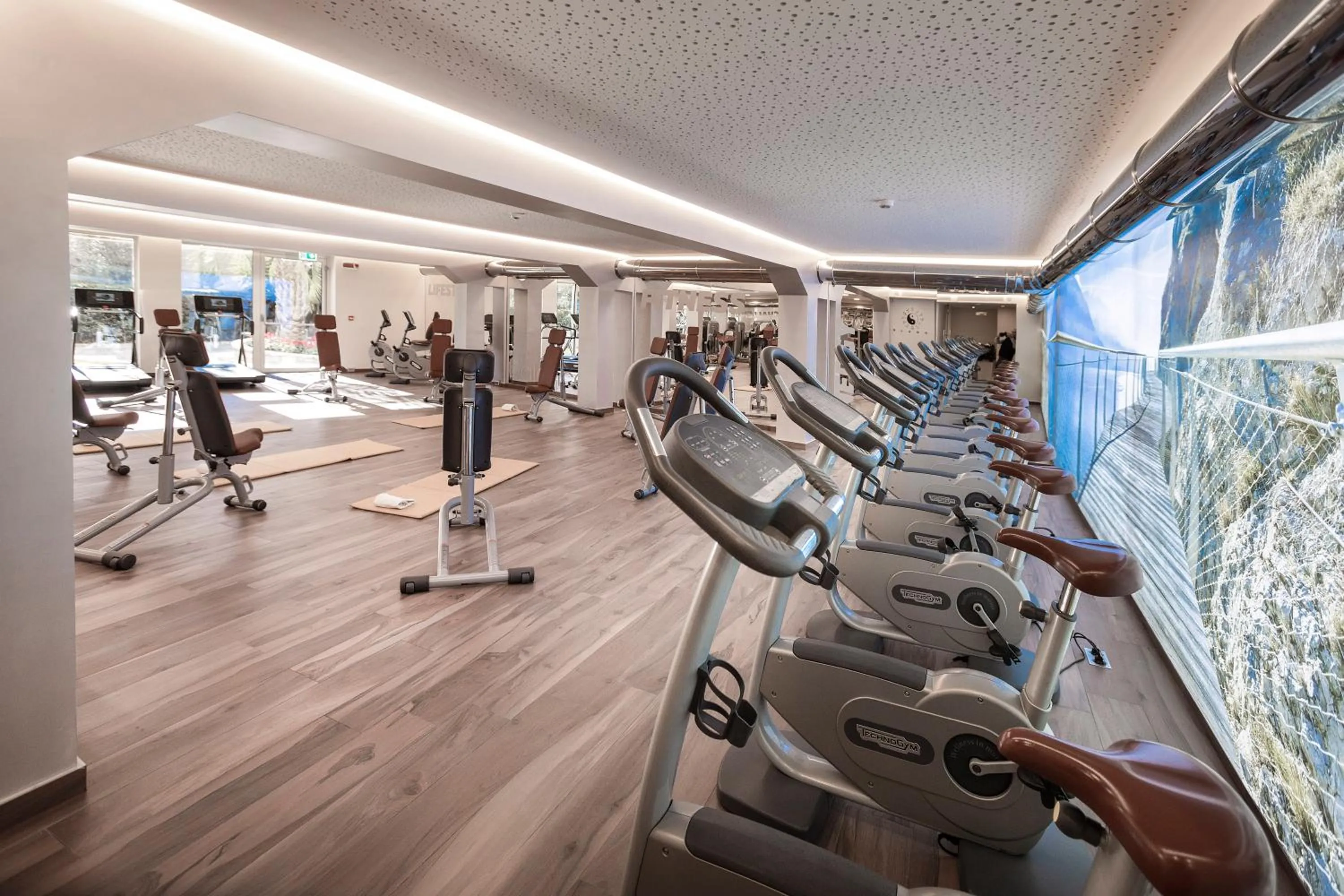 Fitness centre/facilities in Park Hotel Imperial