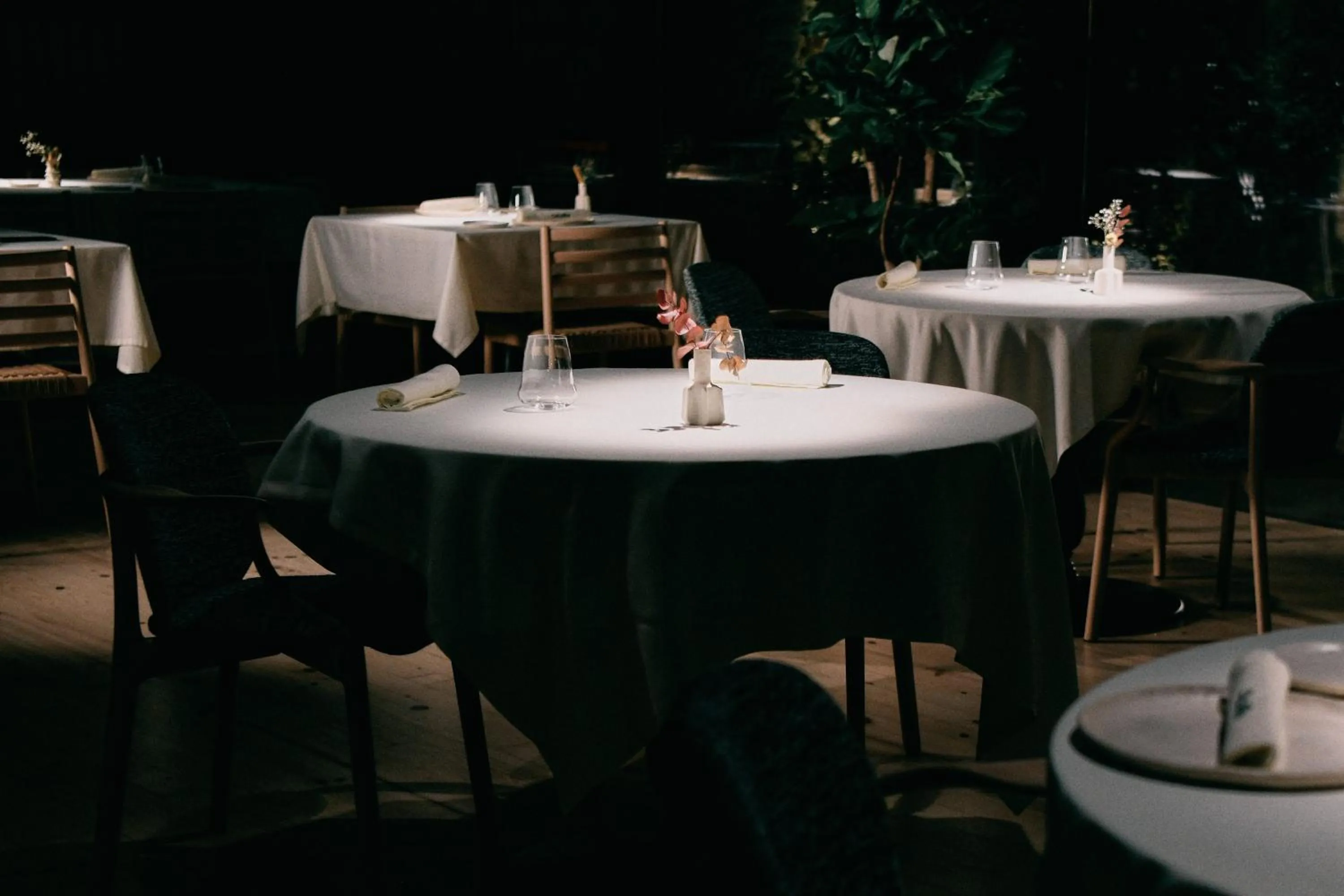 Restaurant/places to eat in La Casa del Presidente