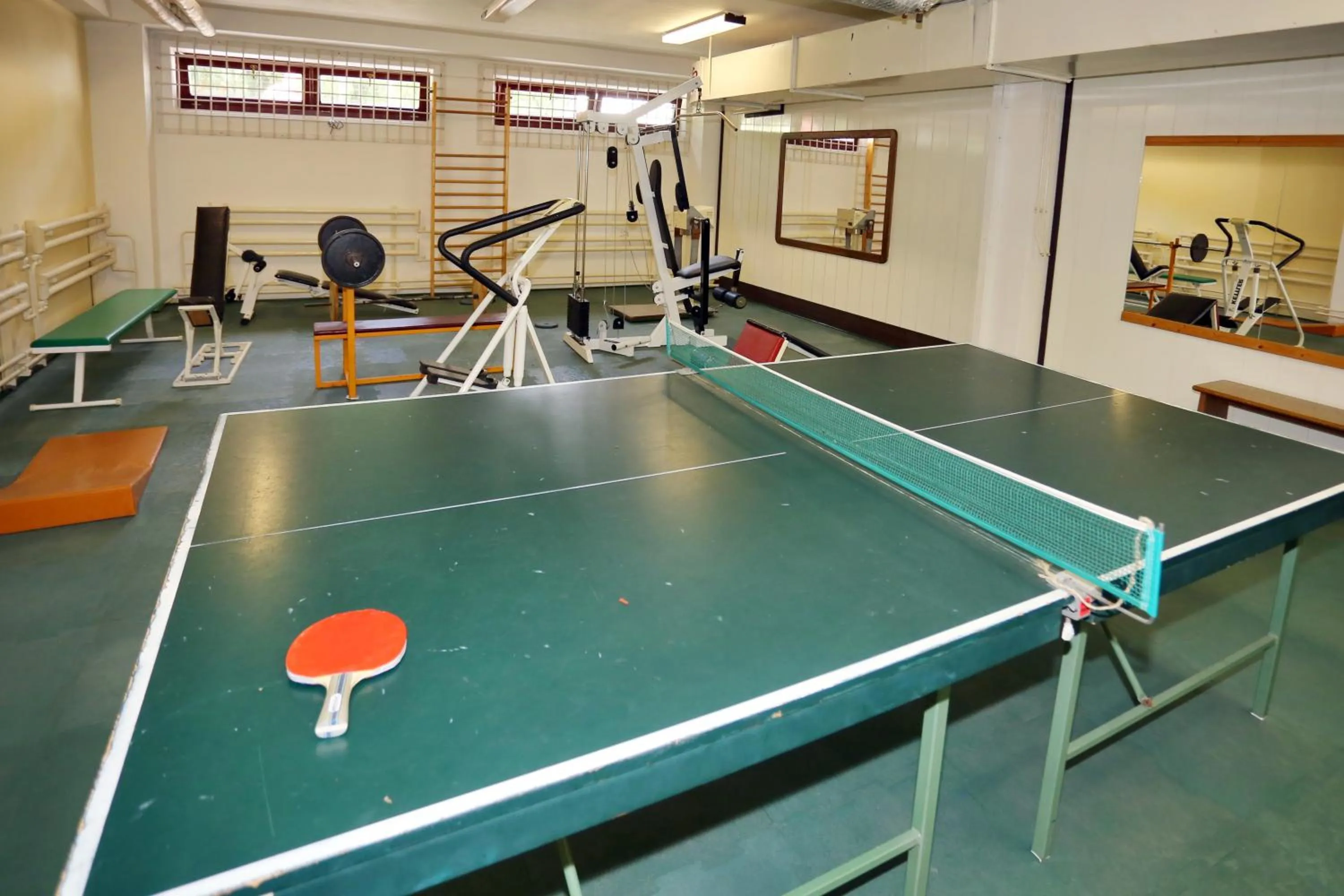 Table tennis in Hotel SOREA ĎUMBIER