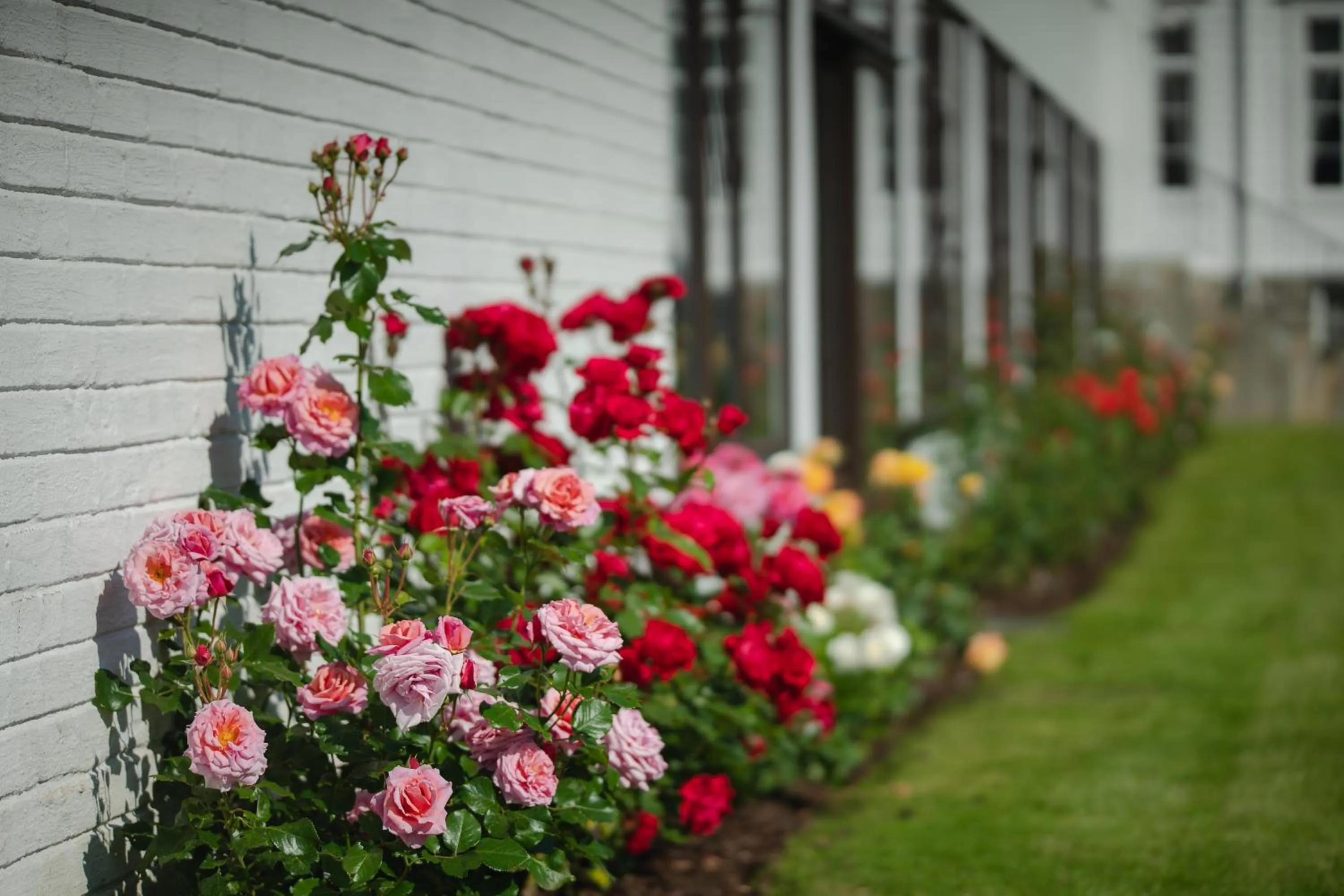 Garden in Leikanger Fjordhotel - Unike Hoteller