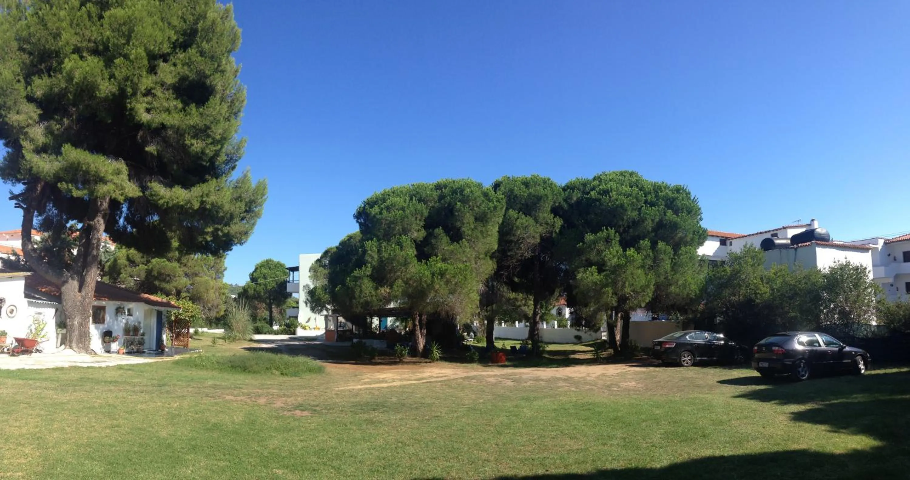 Garden in Maistrali Studios