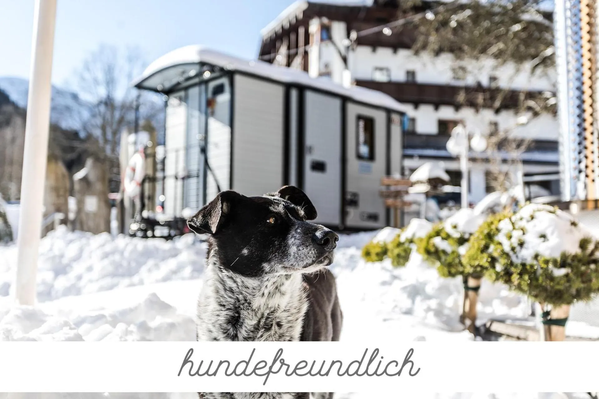 Winter in ALPENHOTEL TYROL - B&B - ADULTS ONLY - Alpines Lifestylehotel