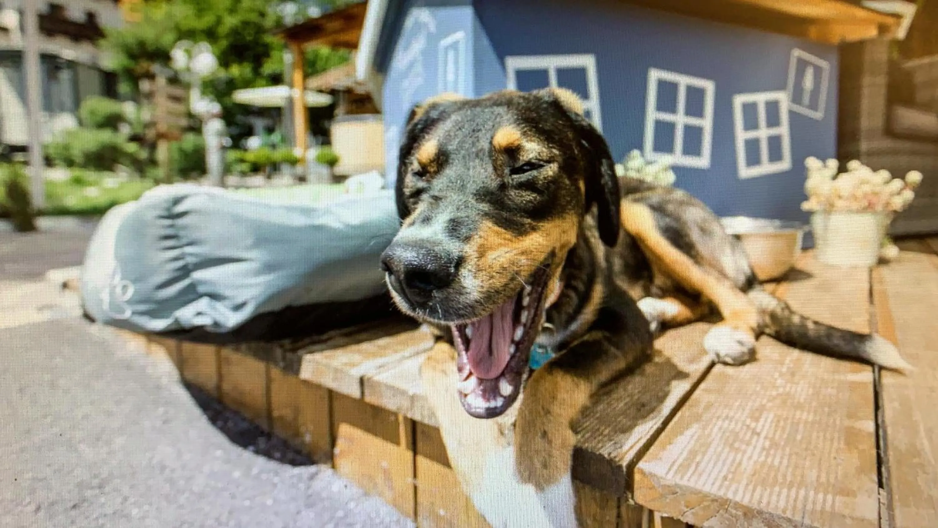 ALPENHOTEL TYROL - B&B - ADULTS ONLY - Alpines Lifestylehotel