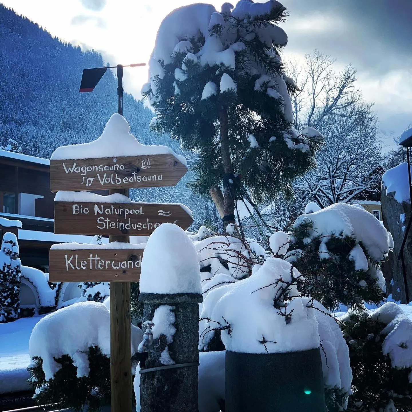 Garden in ALPENHOTEL TYROL - B&B - ADULTS ONLY - Alpines Lifestylehotel