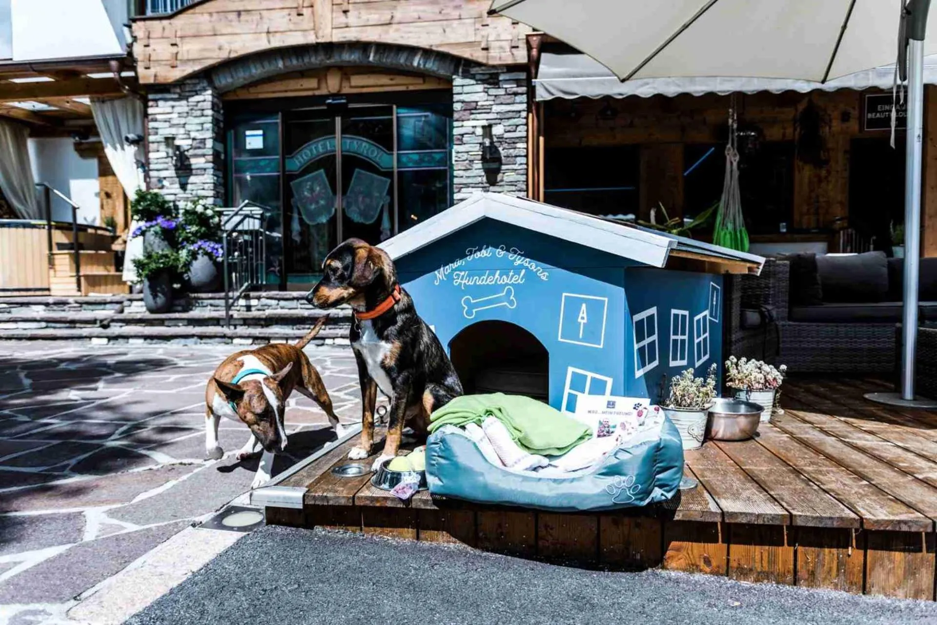 Day in ALPENHOTEL TYROL - B&B - ADULTS ONLY - Alpines Lifestylehotel