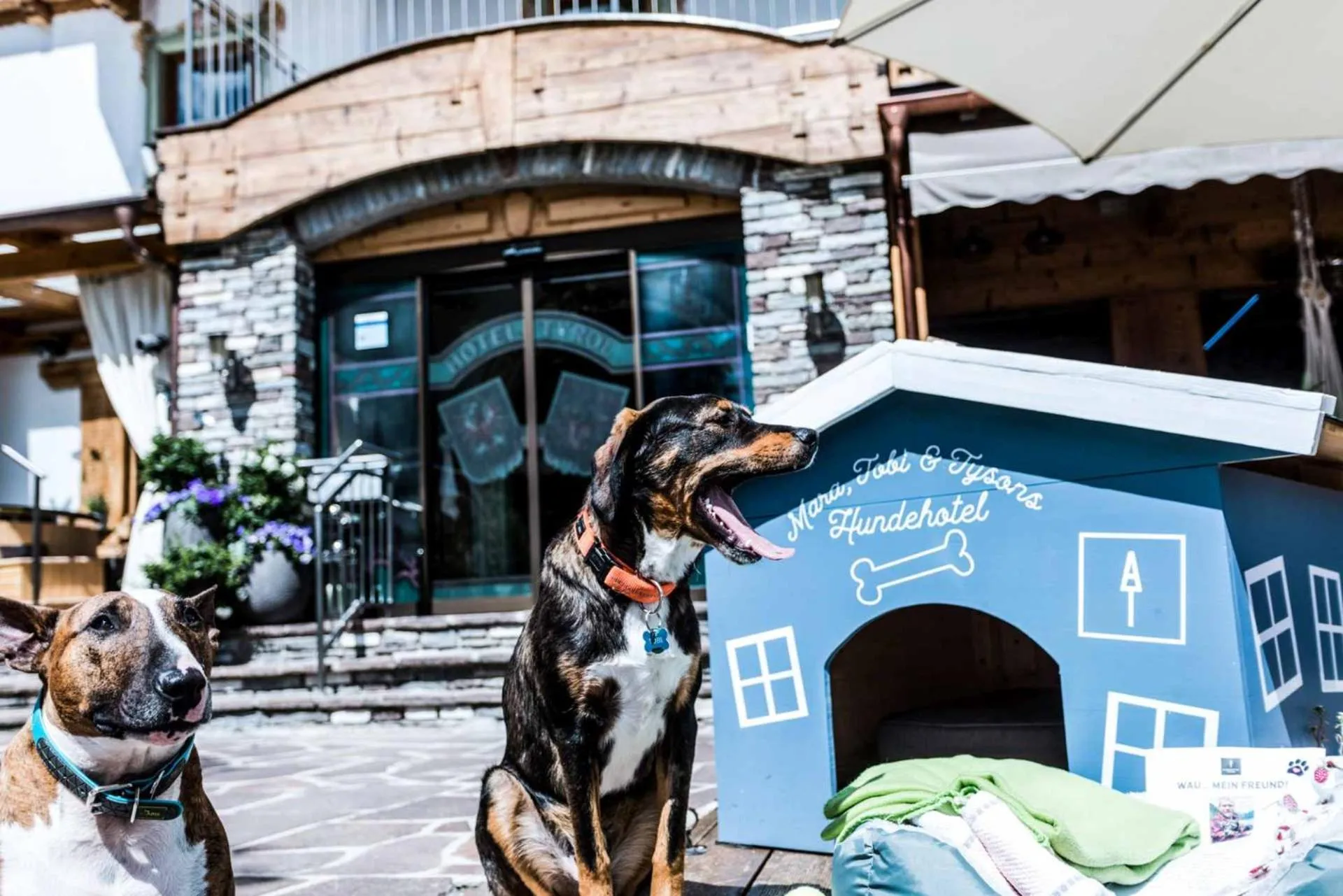 Summer in ALPENHOTEL TYROL - B&B - ADULTS ONLY - Alpines Lifestylehotel