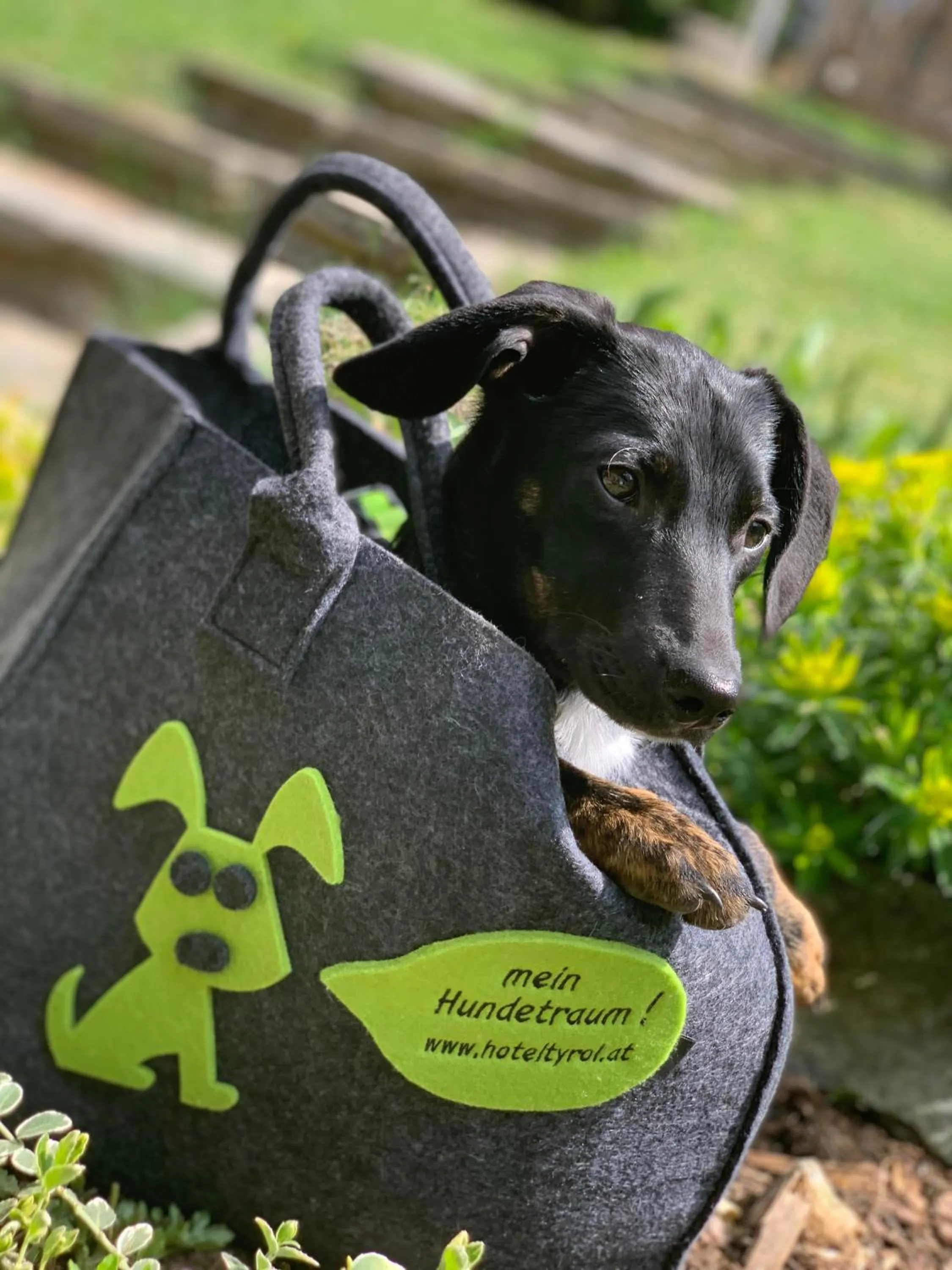 ALPENHOTEL TYROL - B&B - ADULTS ONLY - Alpines Lifestylehotel