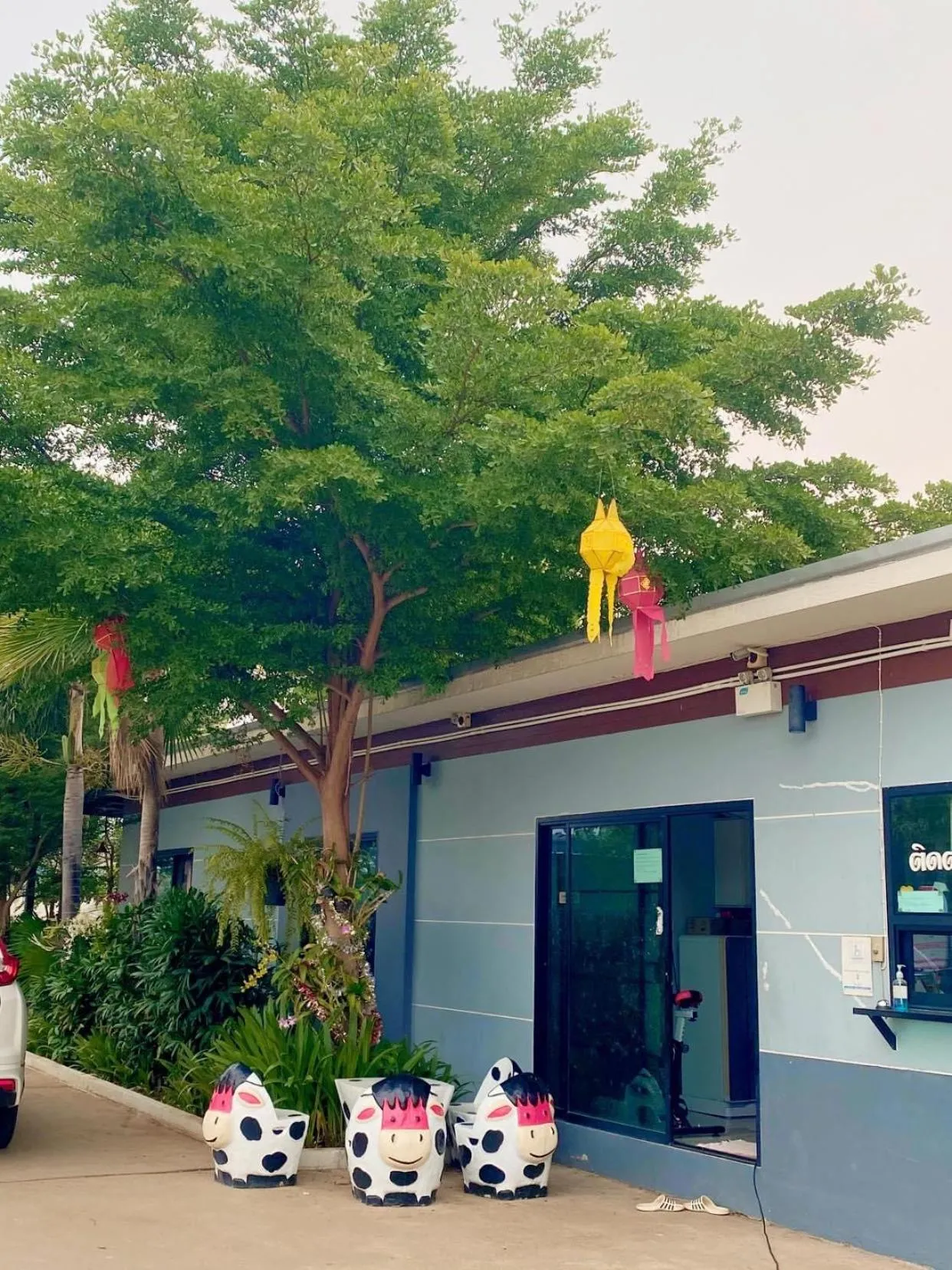 Lobby or reception in Relax Resort
