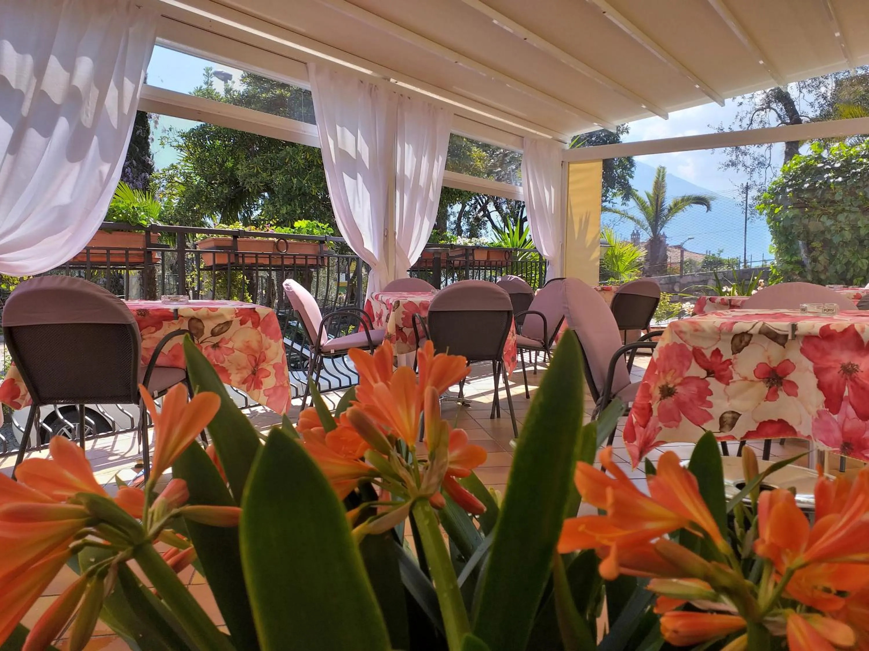 Garden in Hotel Villa Grazia
