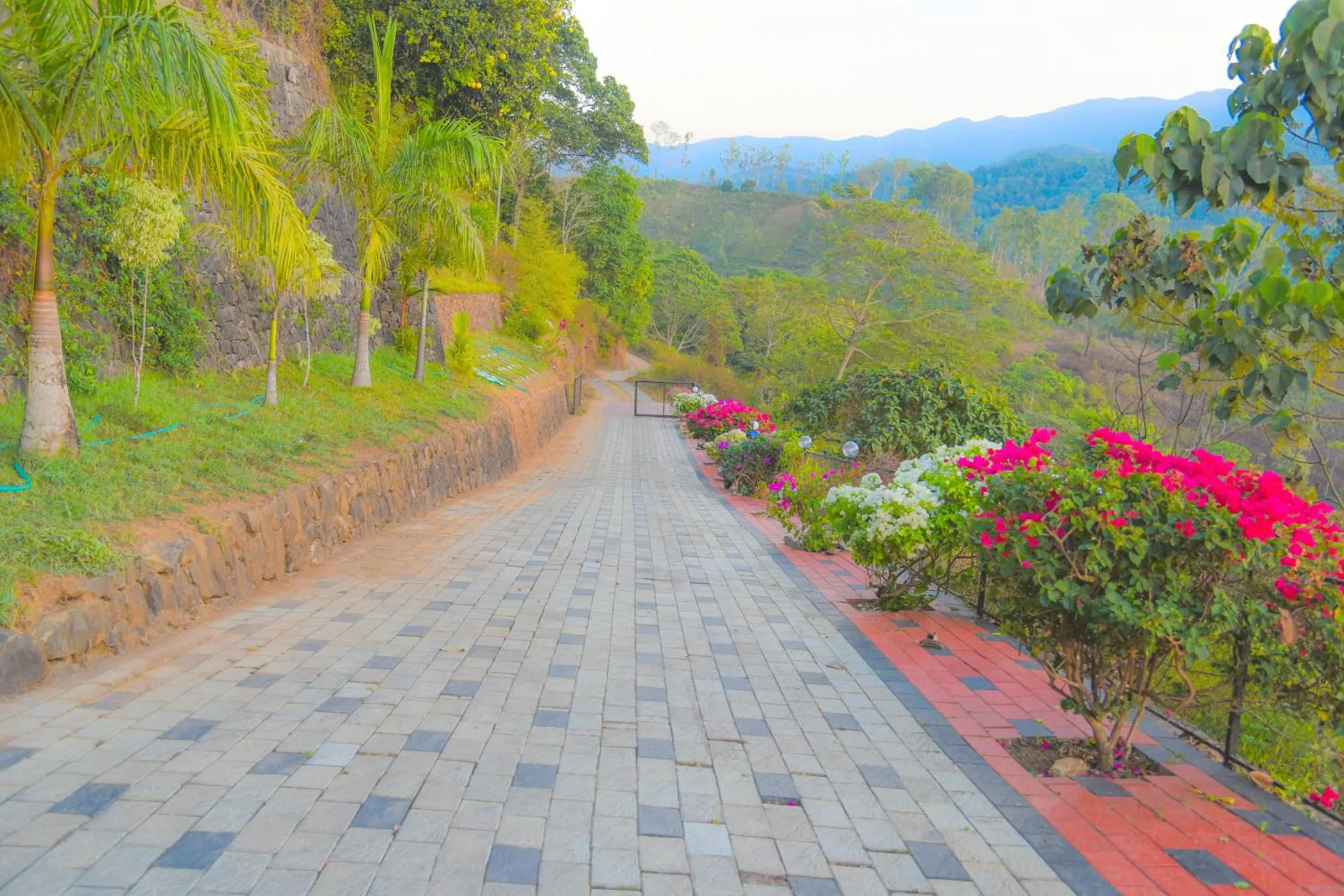 Theeram Agro Farm Hill Resort Vagamon