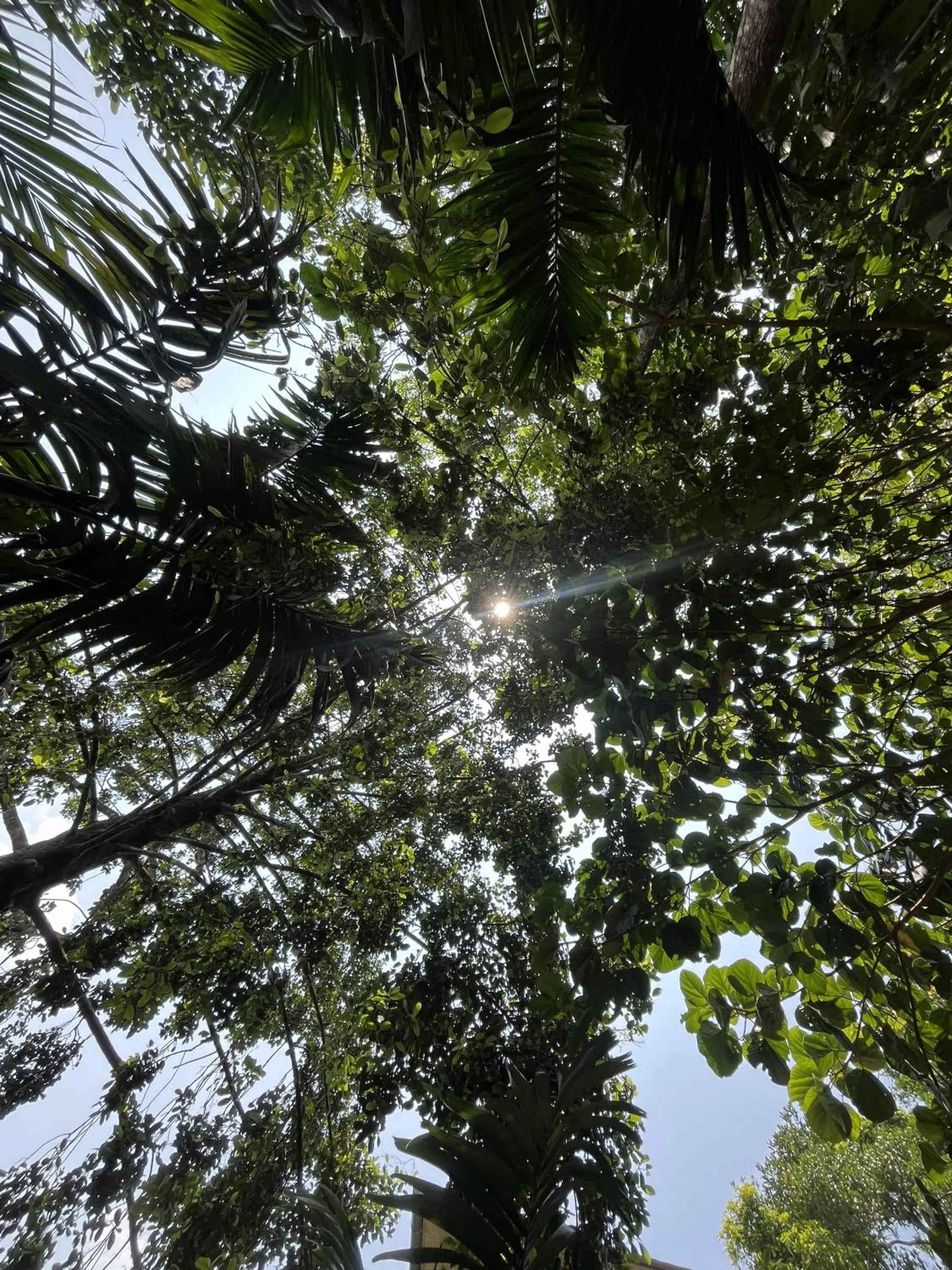 Theeram Agro Farm Hill Resort Vagamon