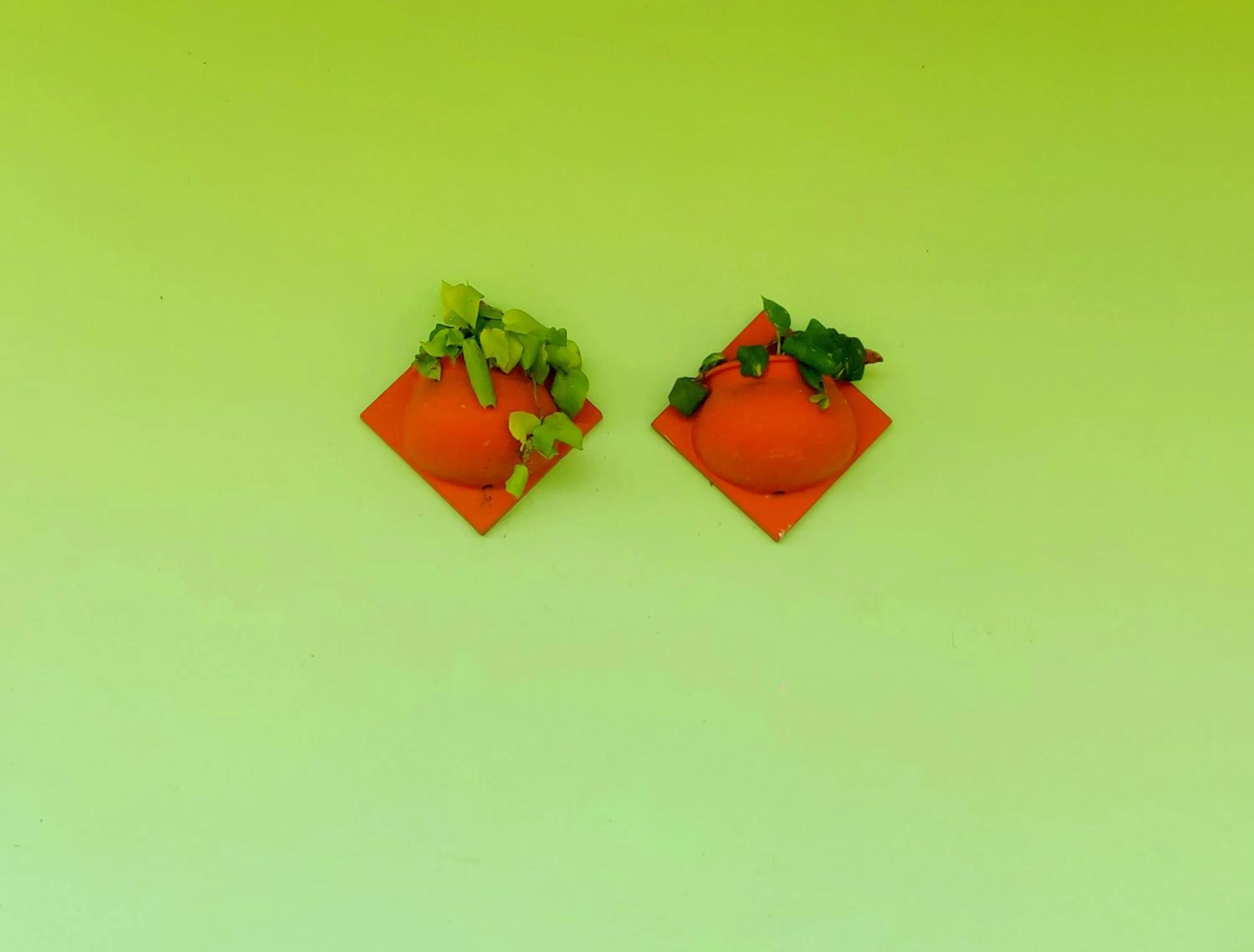 Theeram Agro Farm Hill Resort Vagamon