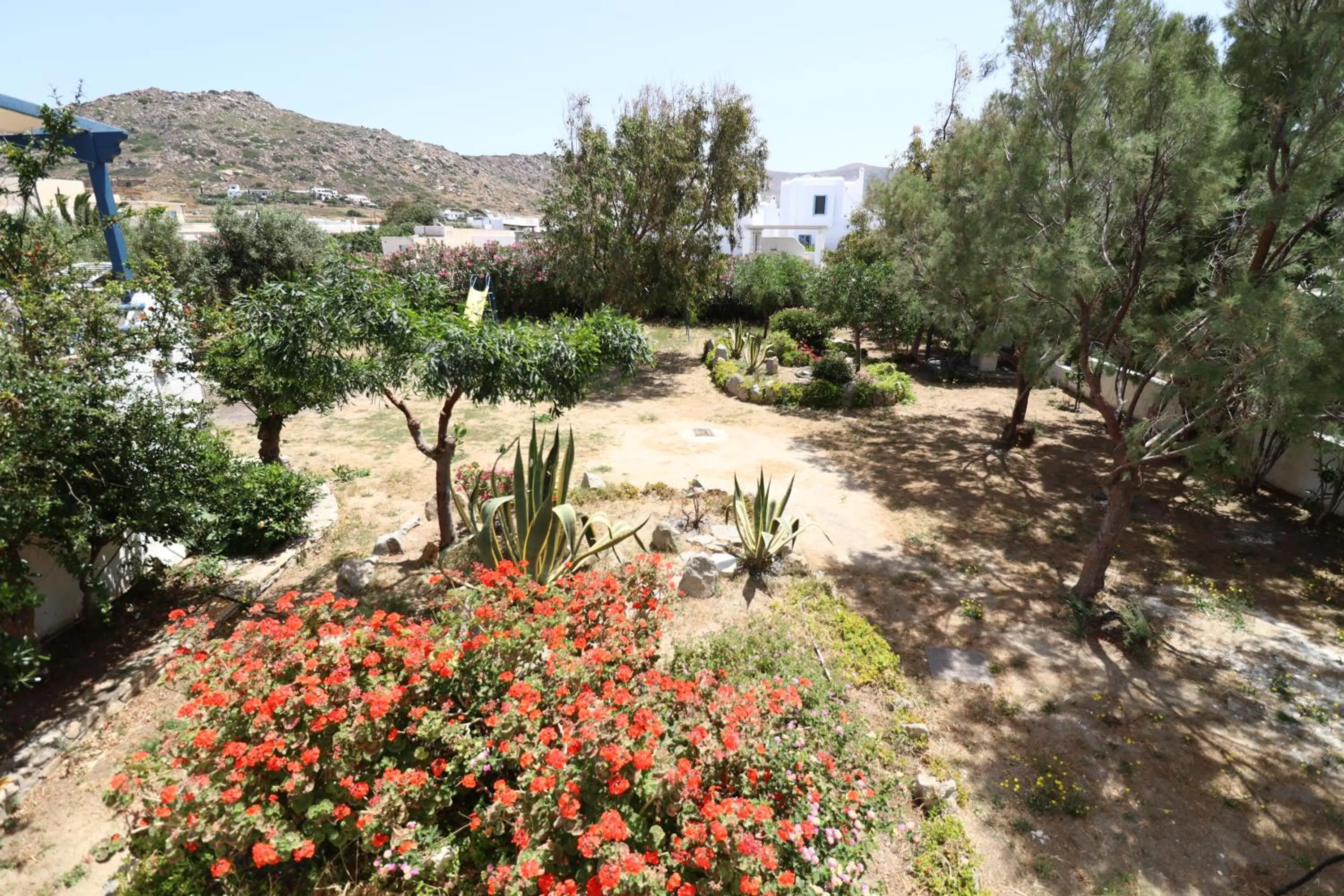 Natural landscape in Coralli Beach Apartments