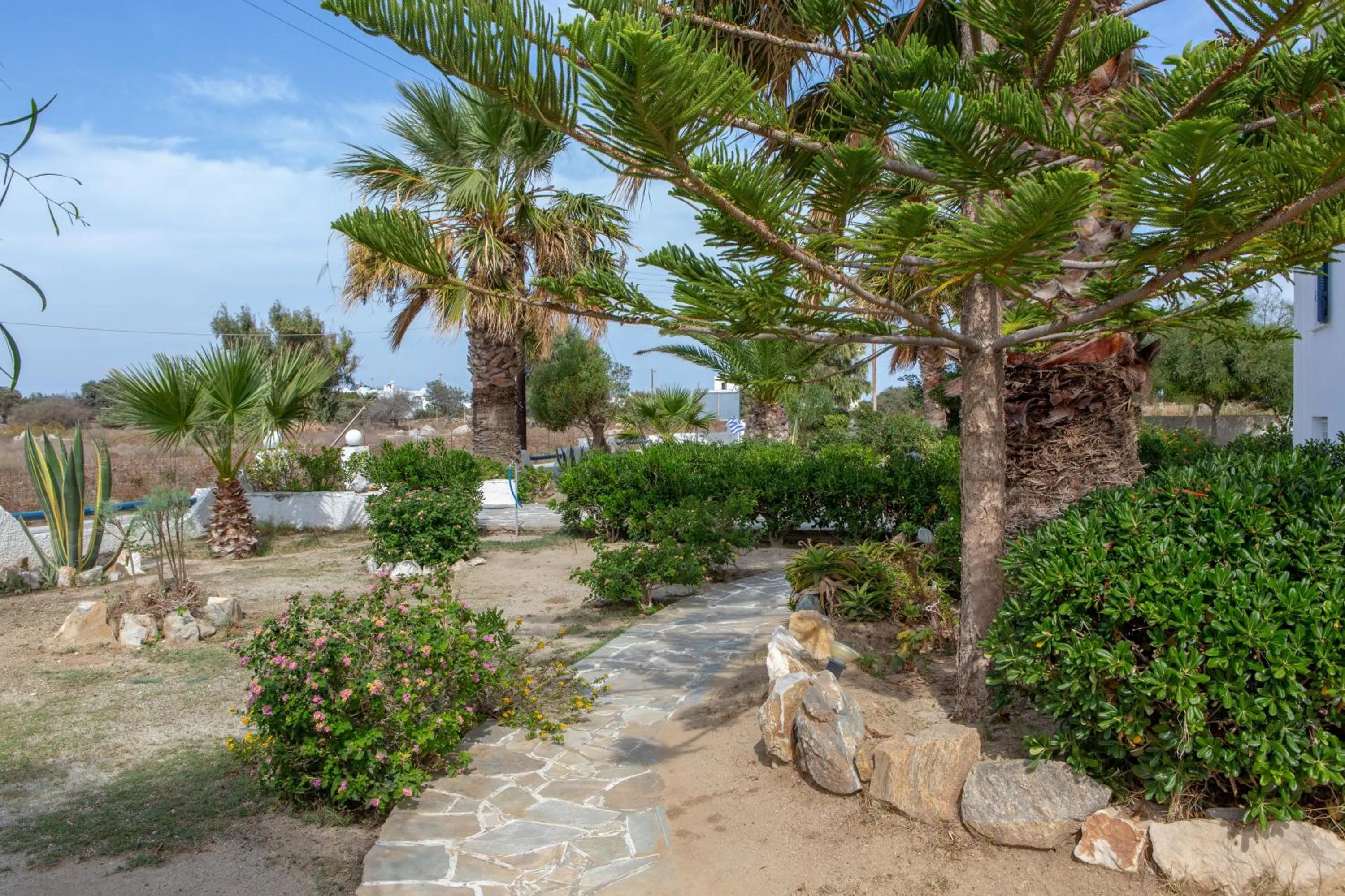 Garden in Coralli Beach Apartments