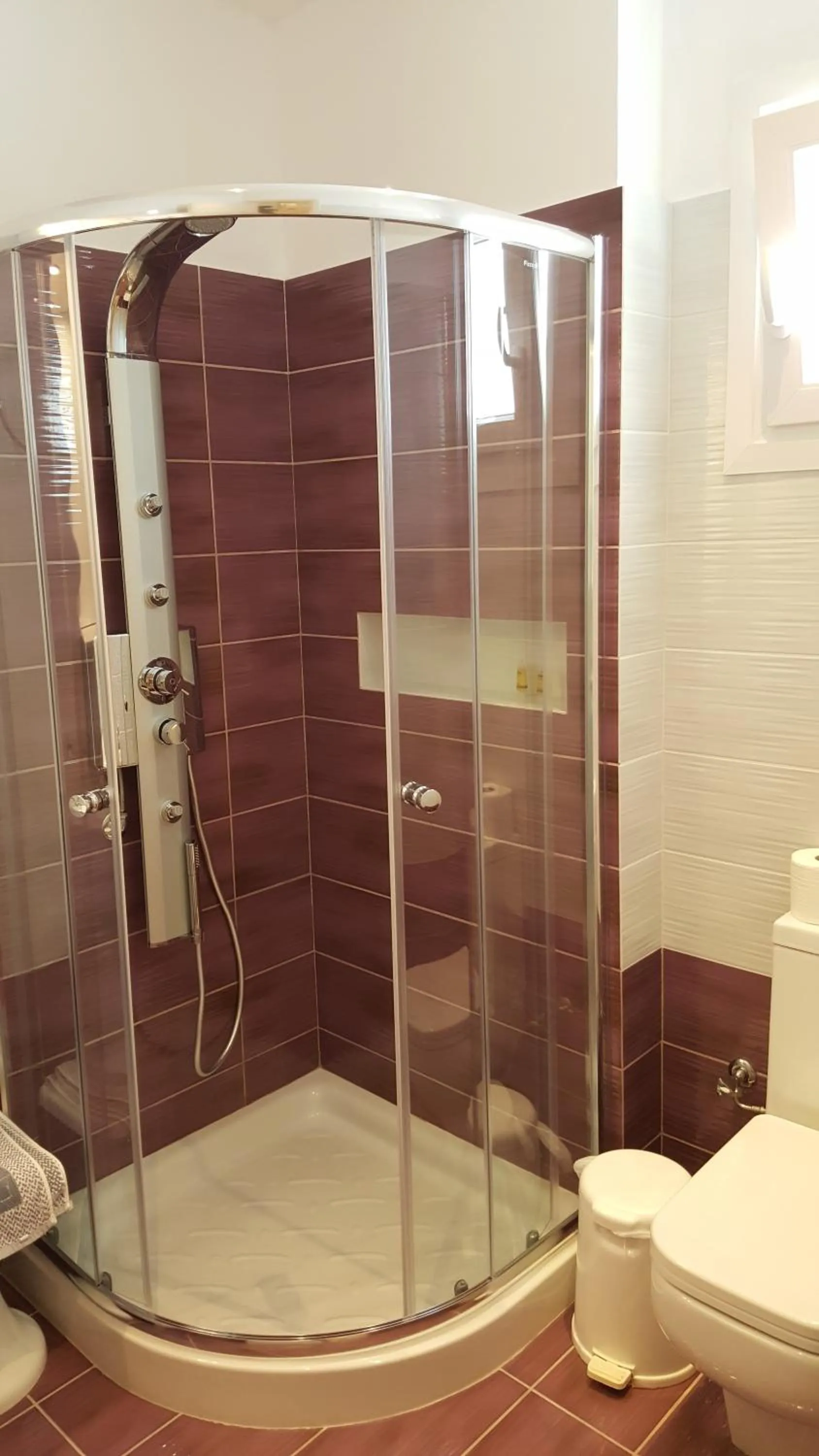 Shower in Hotel Anixis