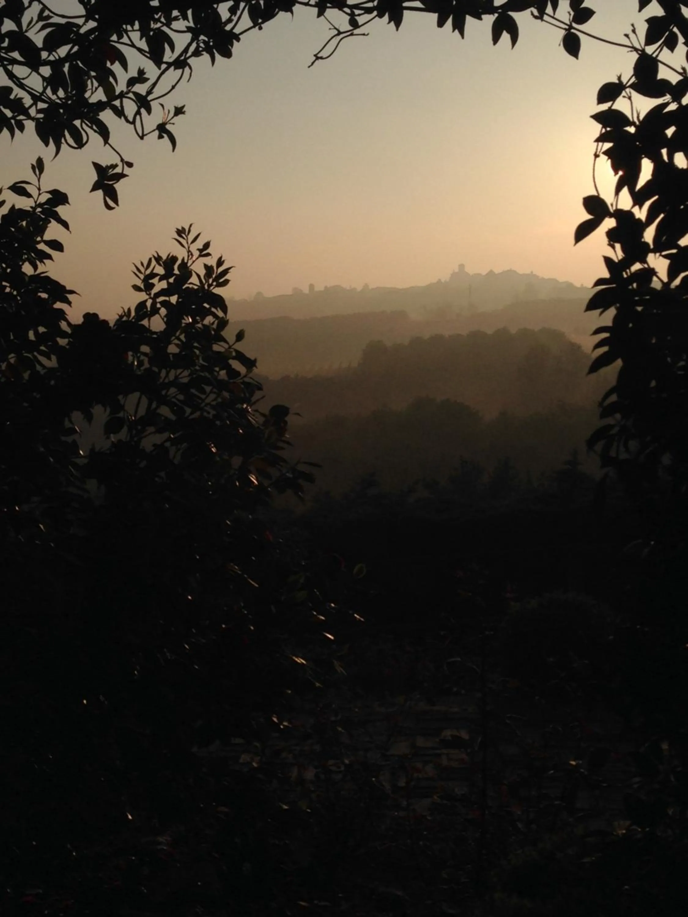 Natural landscape in Villa Bricco dei Cogni