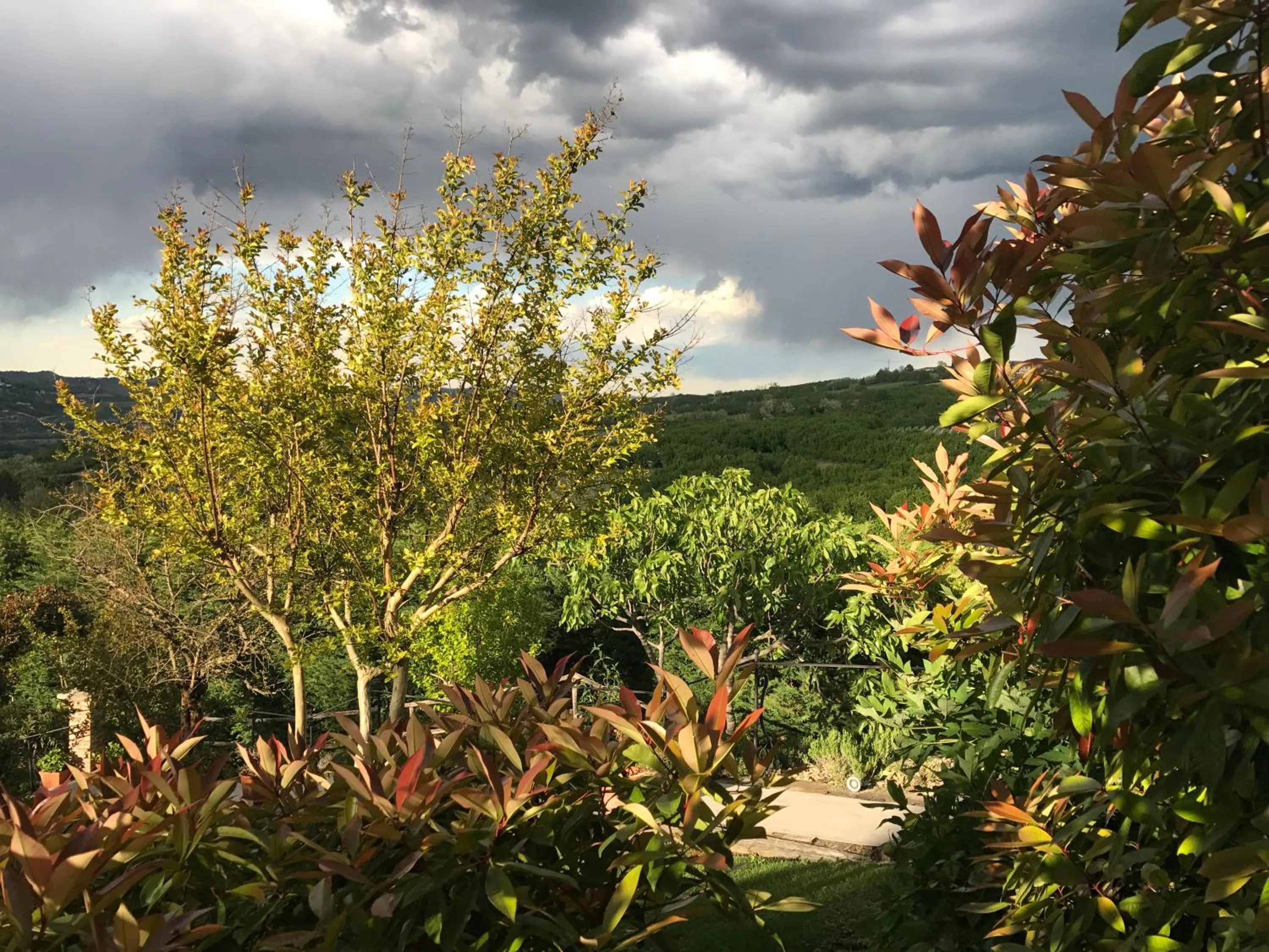 Day in Villa Bricco dei Cogni