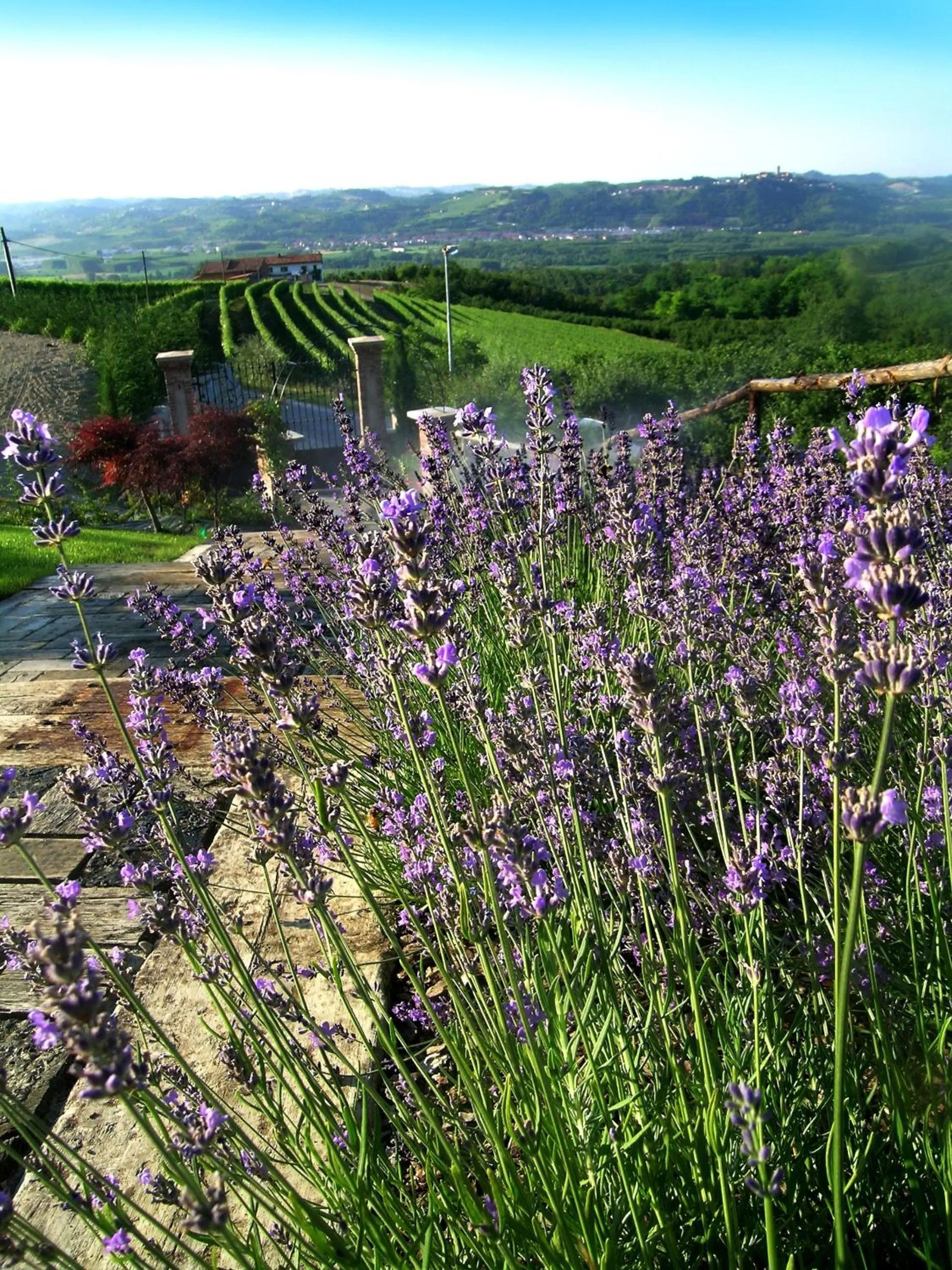 Natural landscape in Villa Bricco dei Cogni
