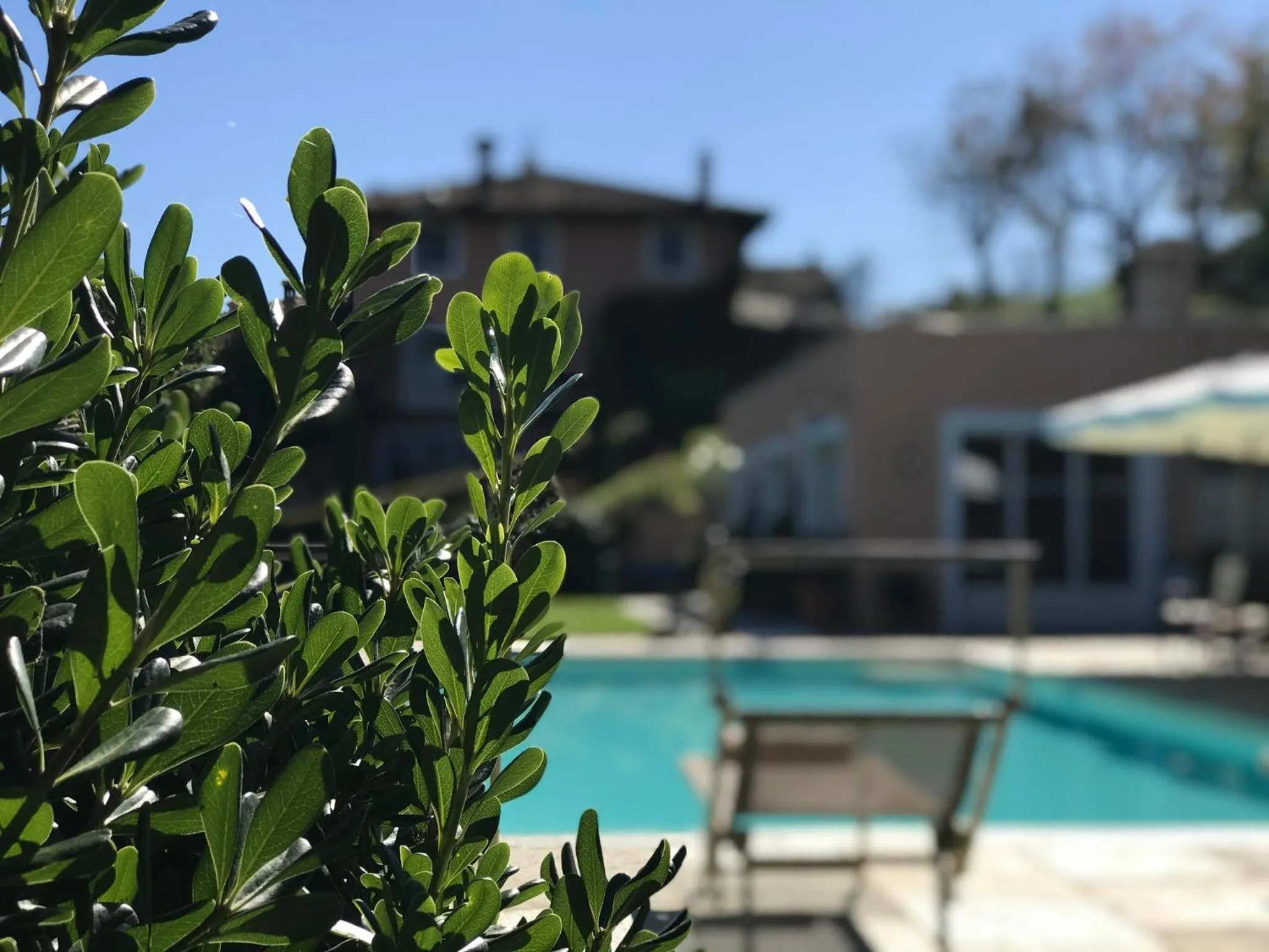 Swimming pool in Villa Bricco dei Cogni