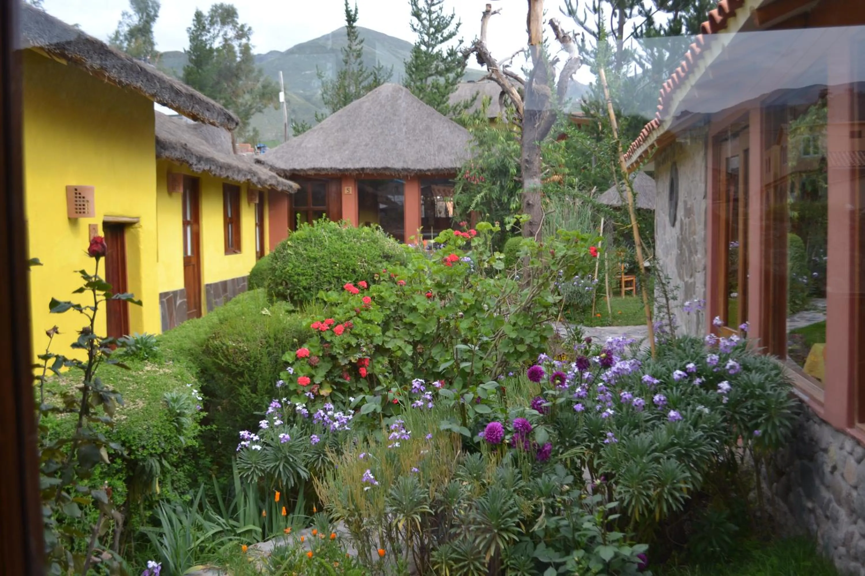 Miskiwasi Bed & Breakfast