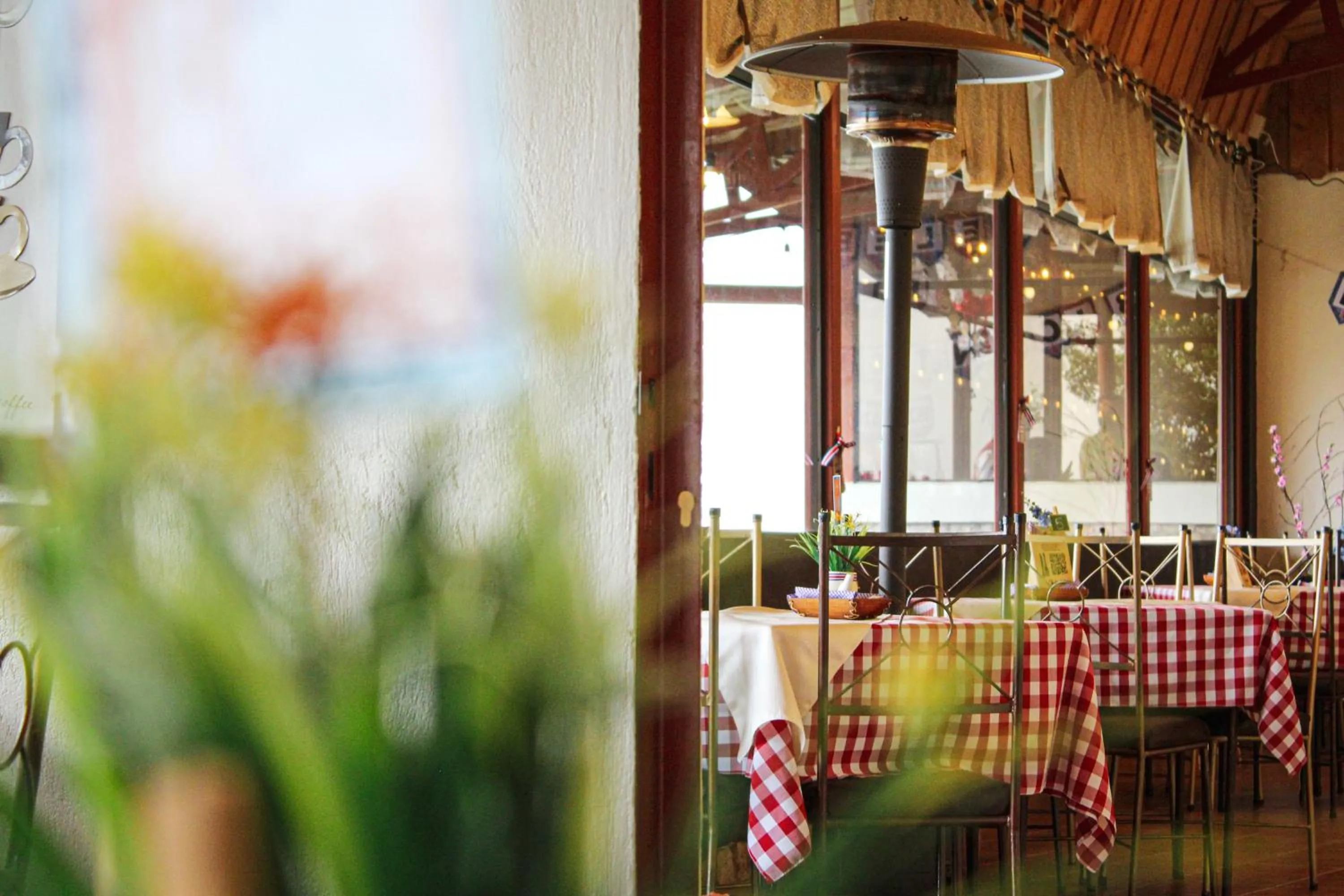 Hortensias Chalets Vara blanca