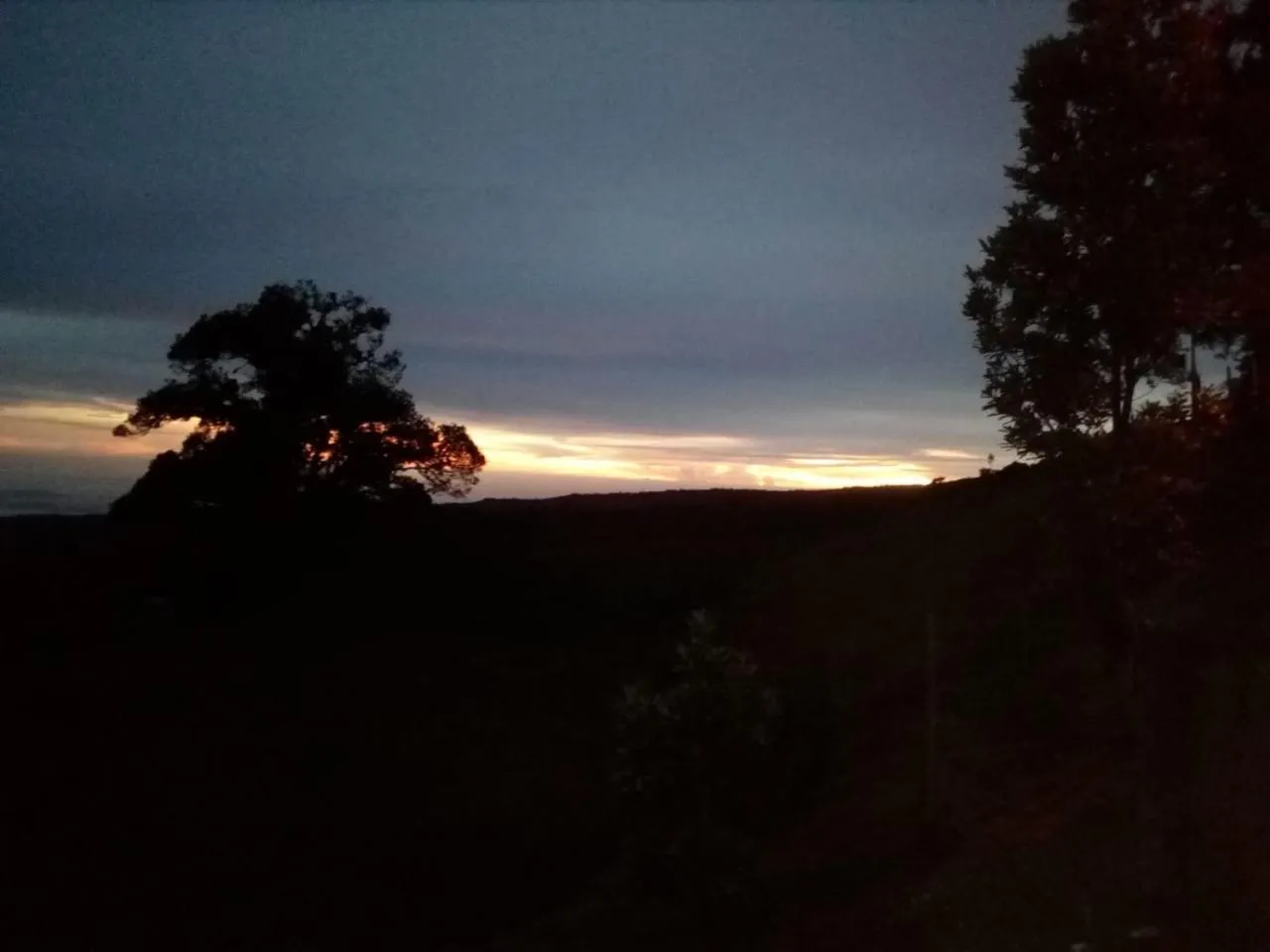 Hortensias Chalets Vara blanca