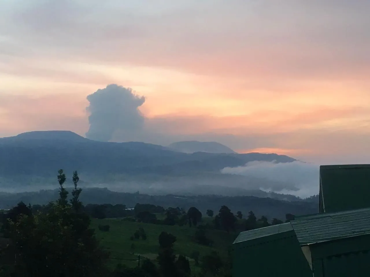 Hortensias Chalets Vara blanca