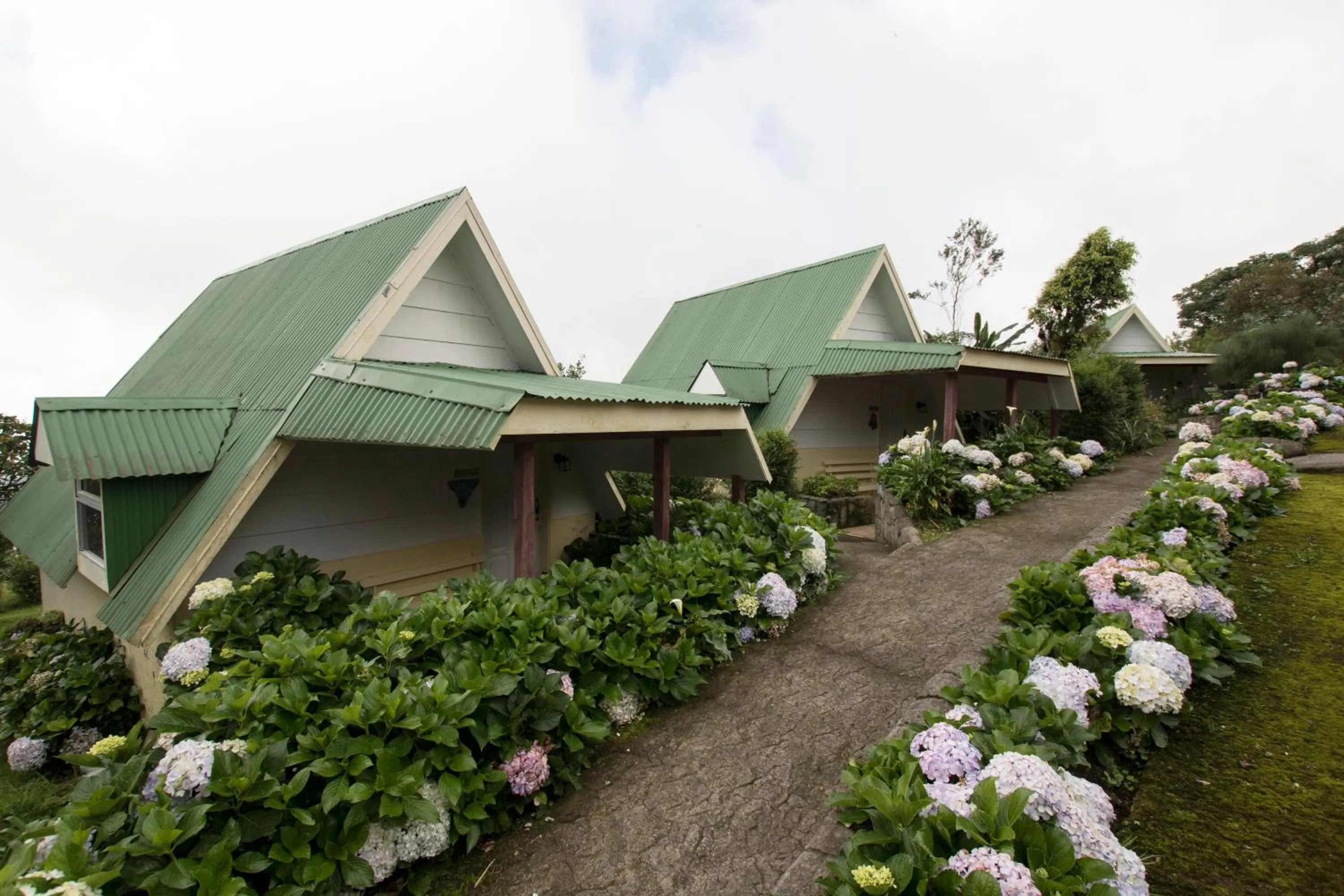 Garden in Hortensias Chalets Vara blanca