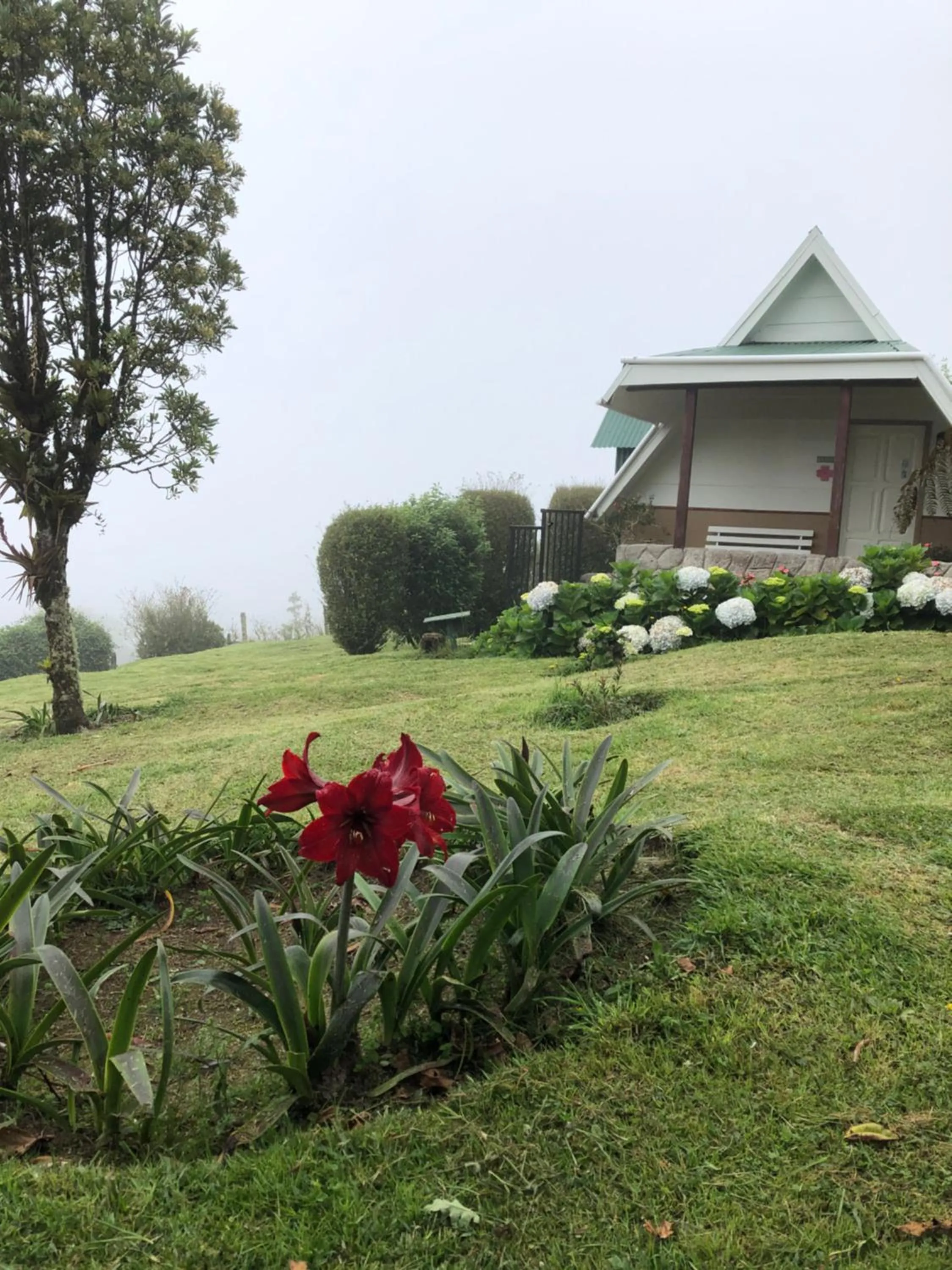 Garden in Hortensias Chalets Vara blanca