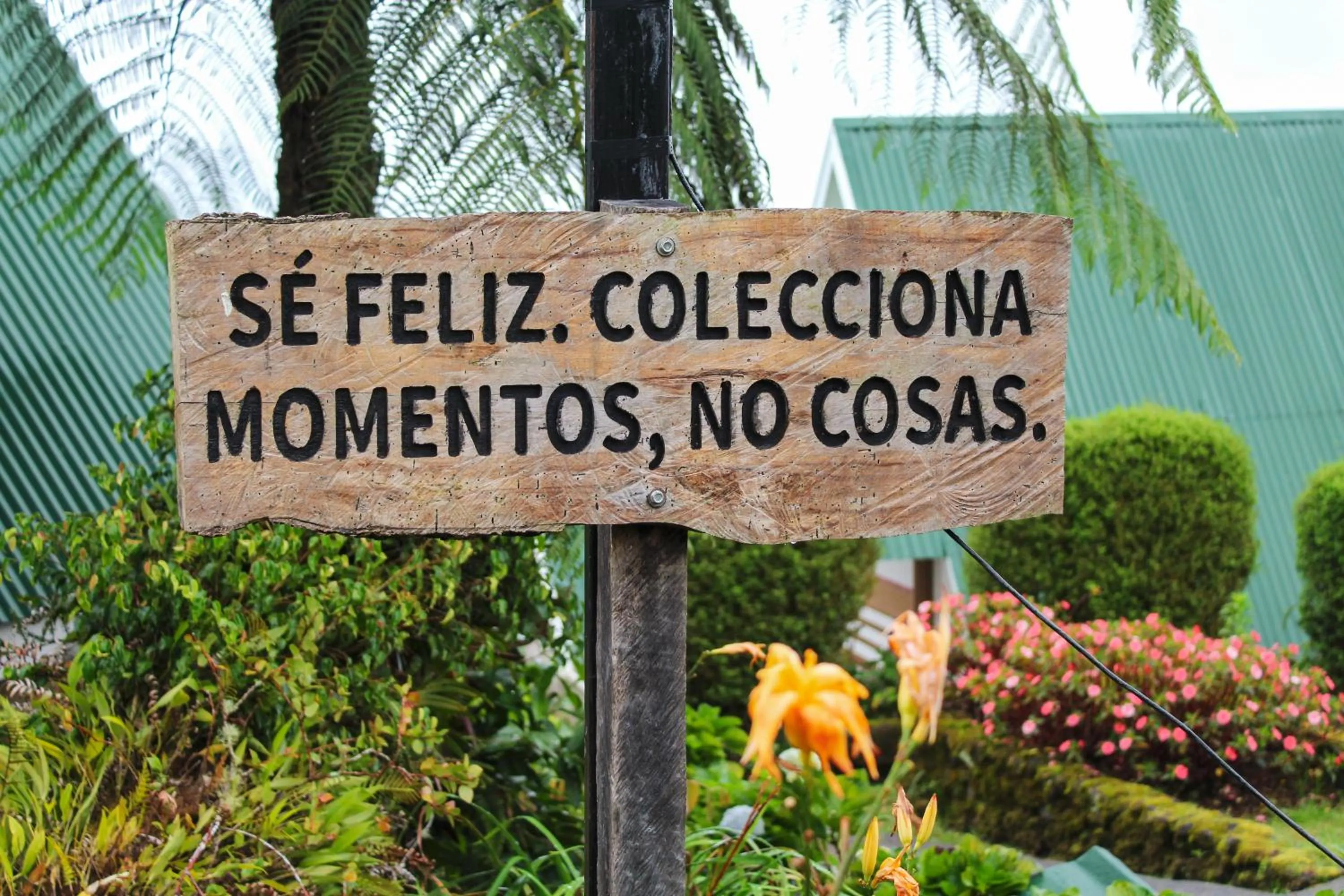 Garden in Hortensias Chalets Vara blanca