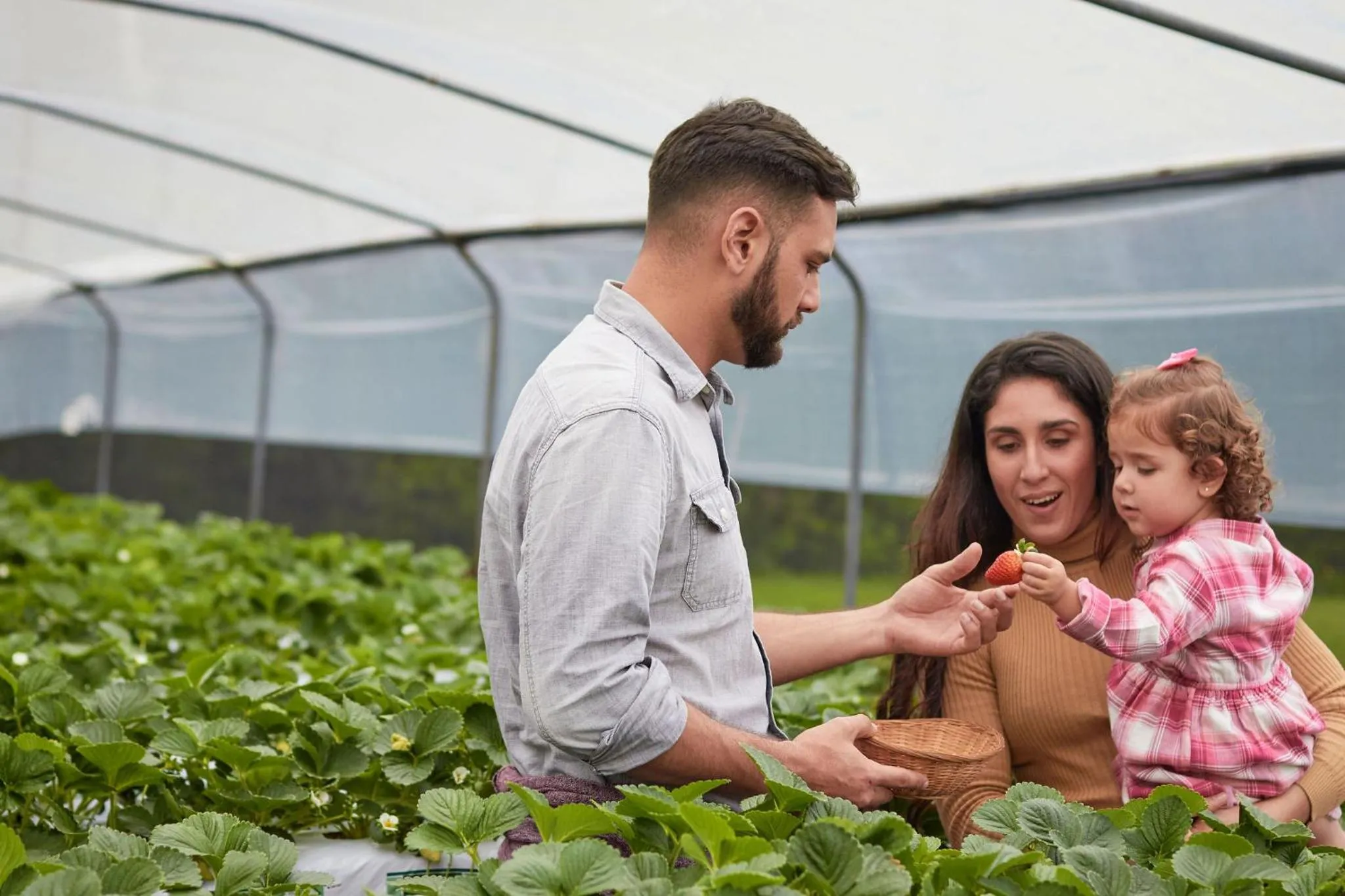 Garden in Hortensias Chalets Vara blanca