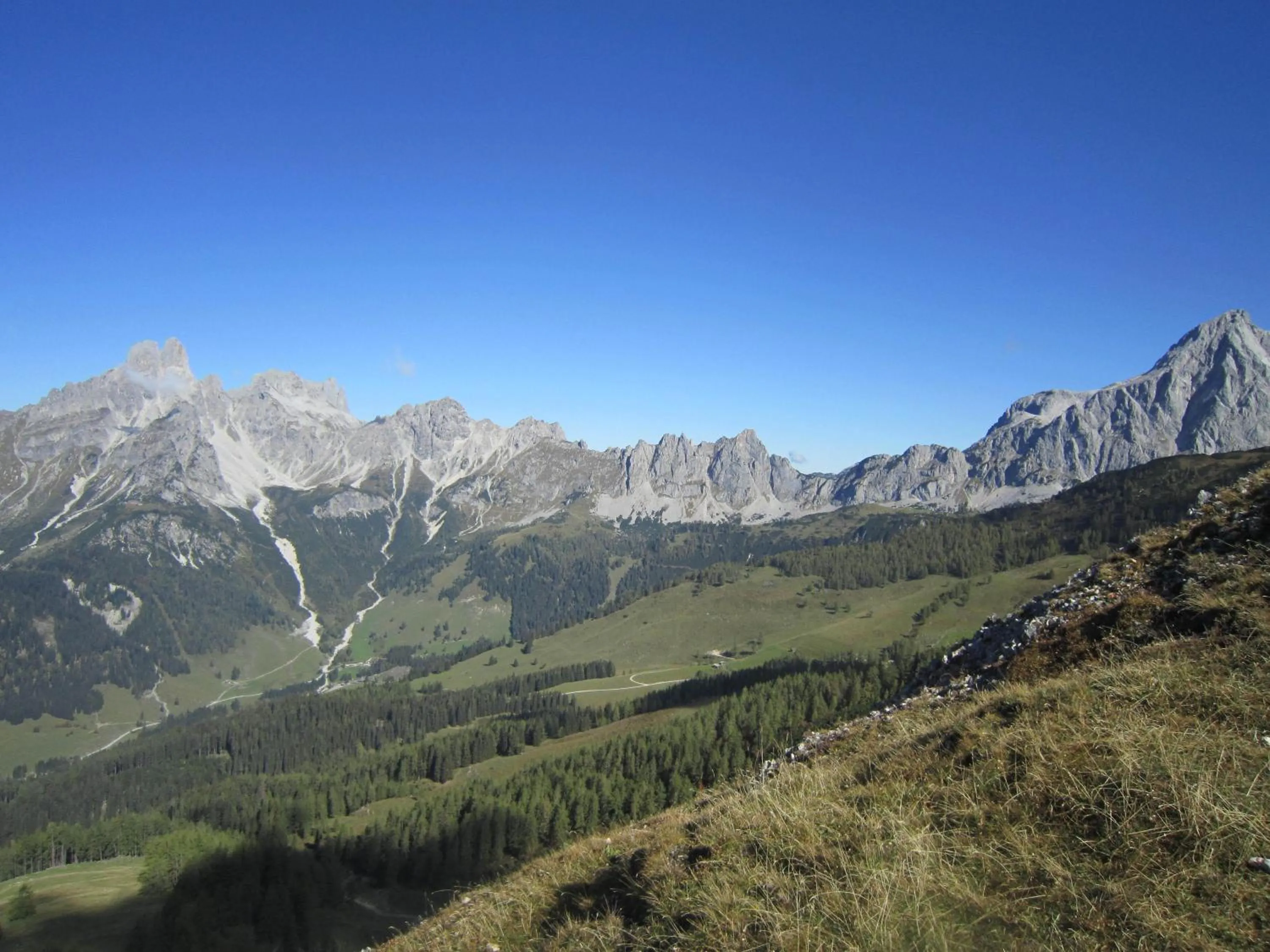 Natural landscape in Ferienwohnung Mützengruß