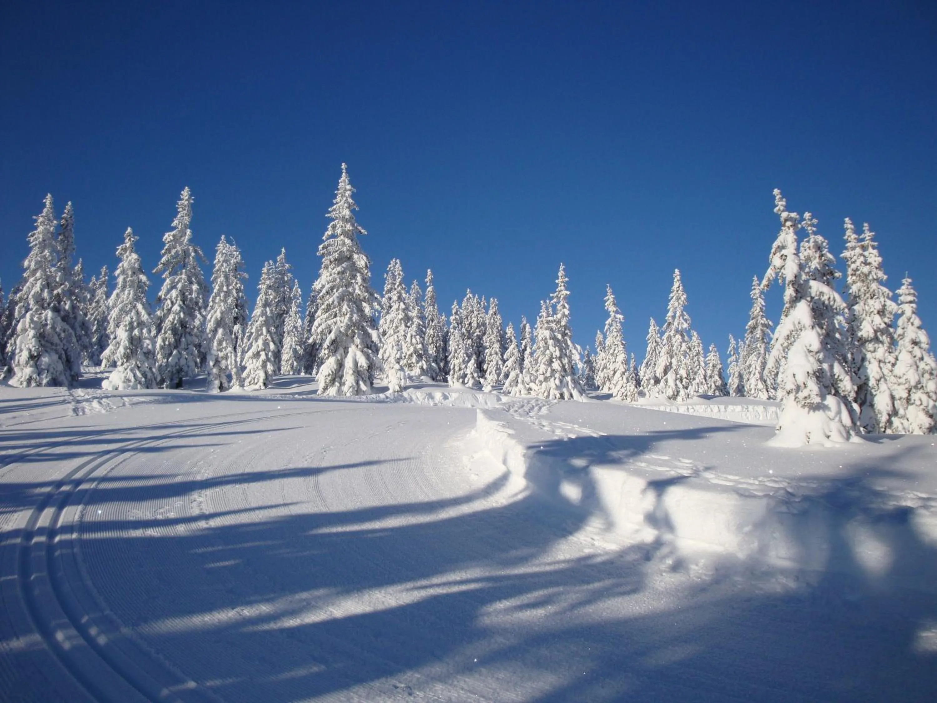 Winter in Ferienwohnung Mützengruß