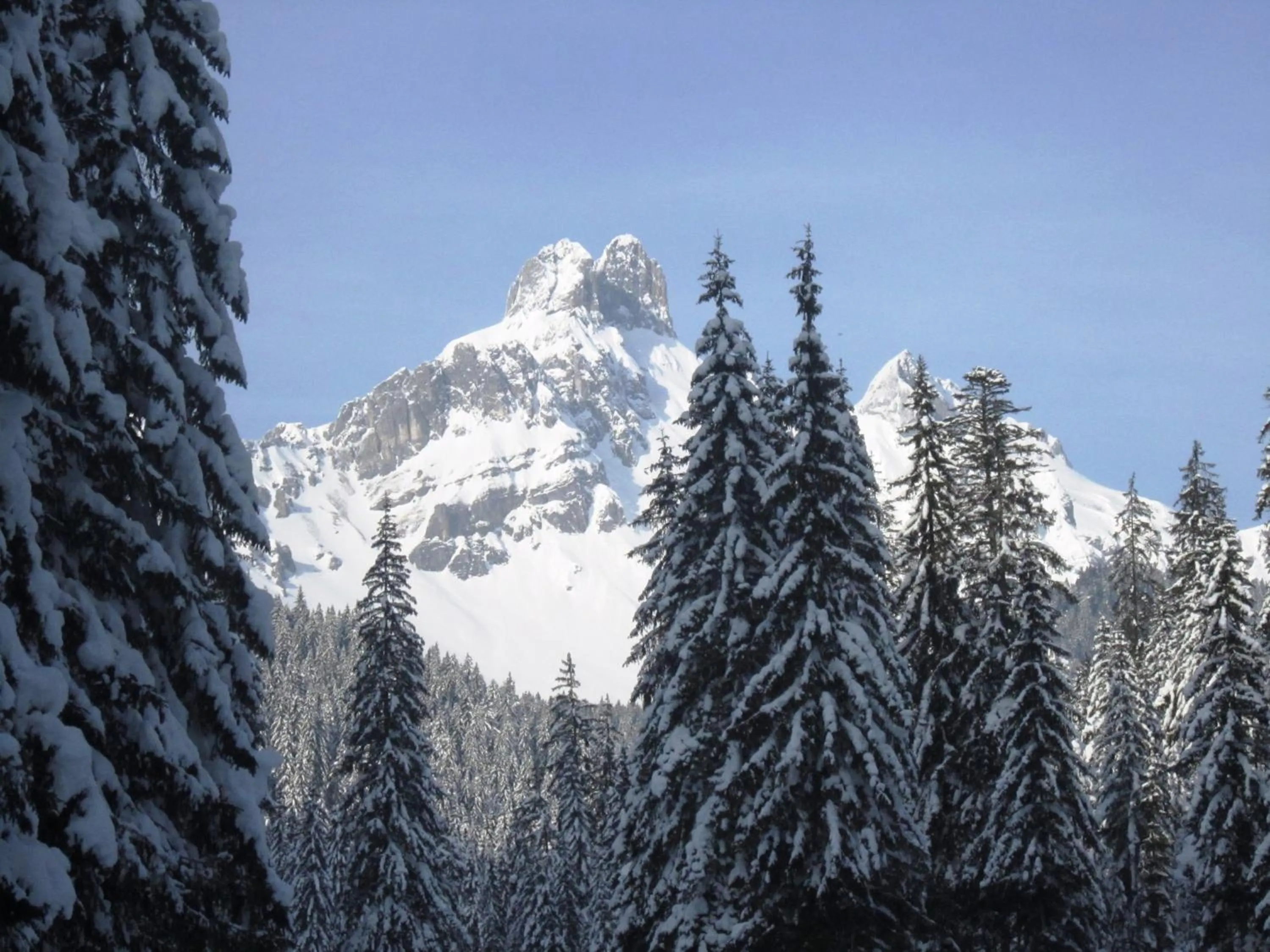 Winter in Ferienwohnung Mützengruß