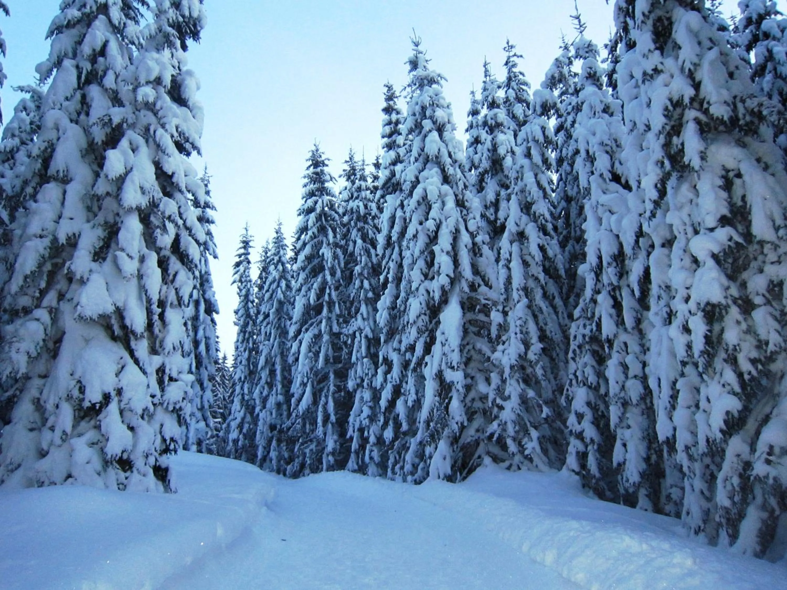 Winter in Ferienwohnung Mützengruß