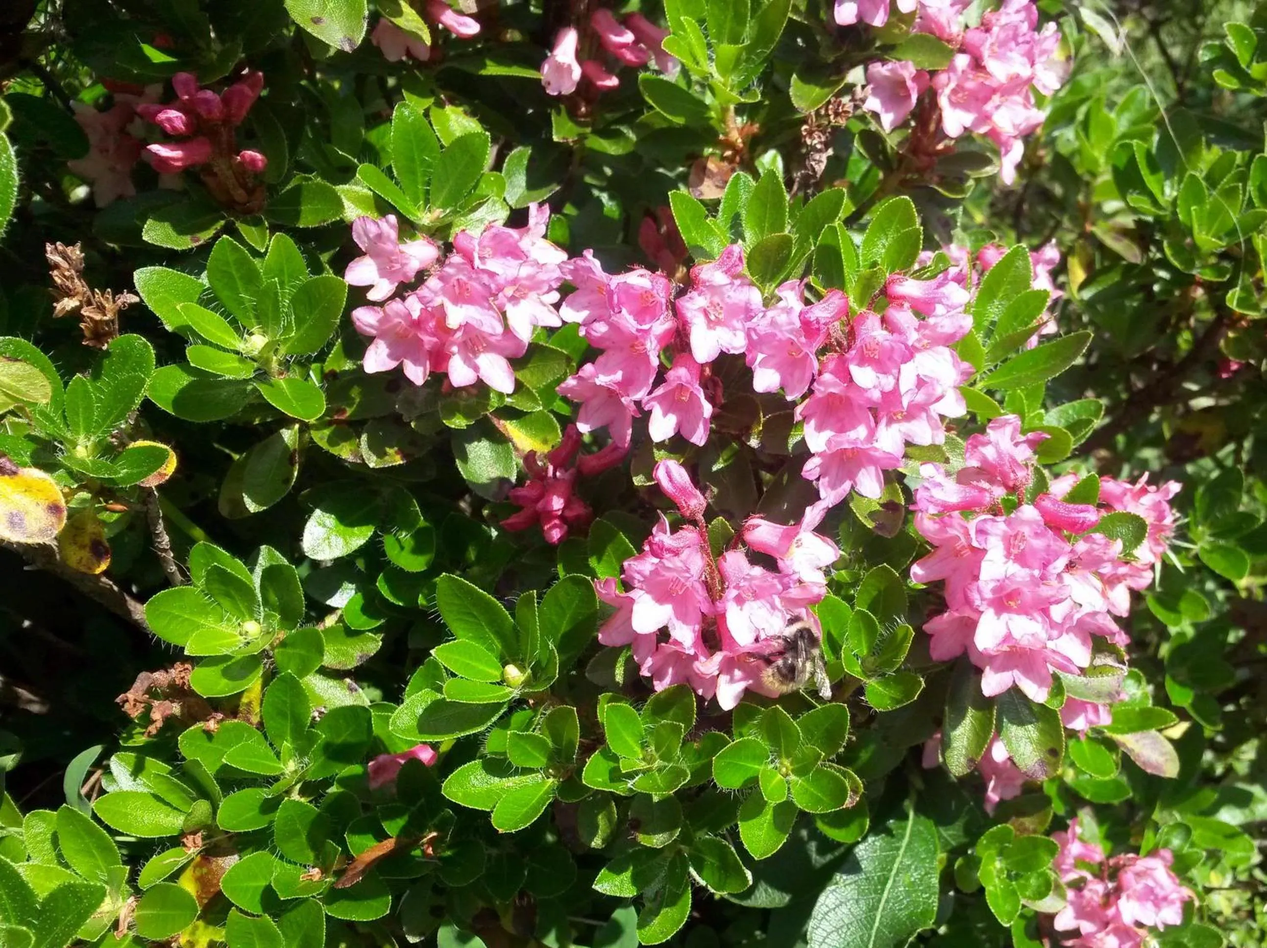 Spring in Ferienwohnung Mützengruß