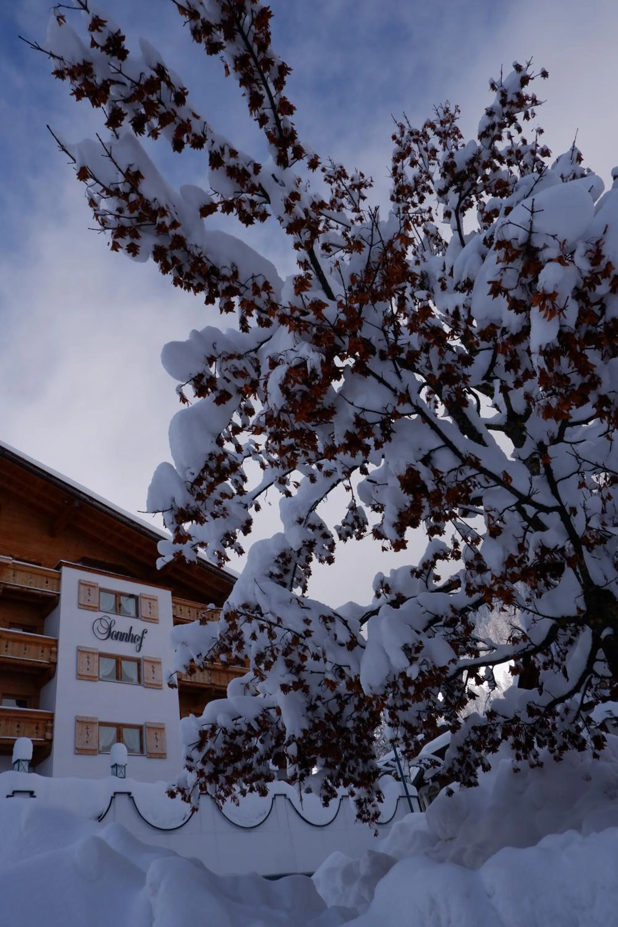 Property building in Hotel Sonnhof