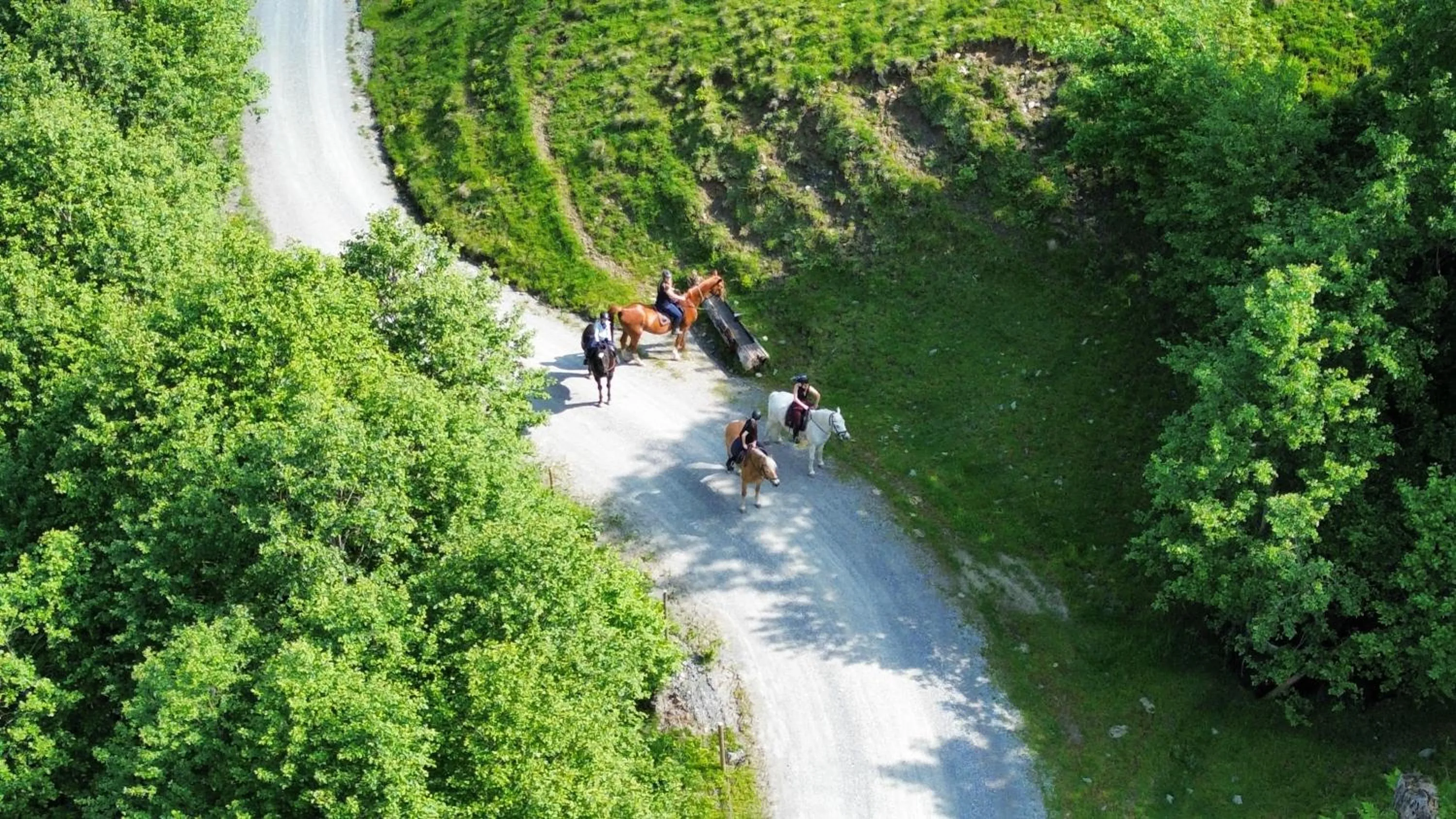 Day in Hotel Der Wastlhof - direkt an der Skipiste Wellness & Spa