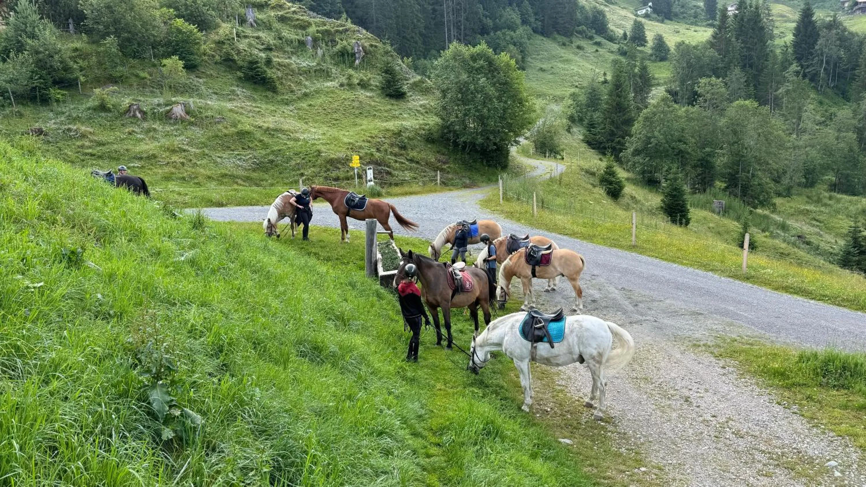 Day in Hotel Der Wastlhof - direkt an der Skipiste Wellness & Spa