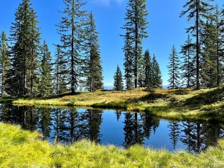 Natural landscape in Hotel Der Wastlhof - direkt an der Skipiste Wellness & Spa