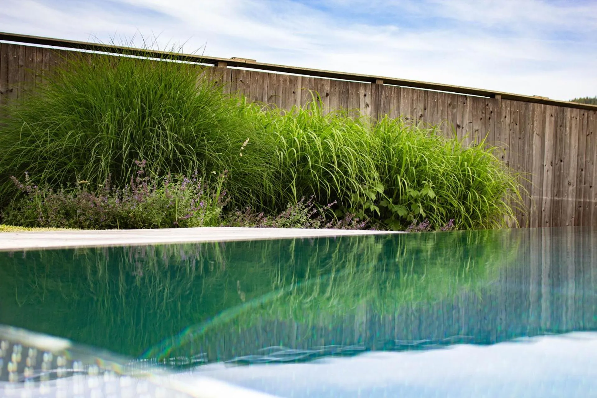 Summer in Hotel Der Wastlhof - direkt an der Skipiste Wellness & Spa