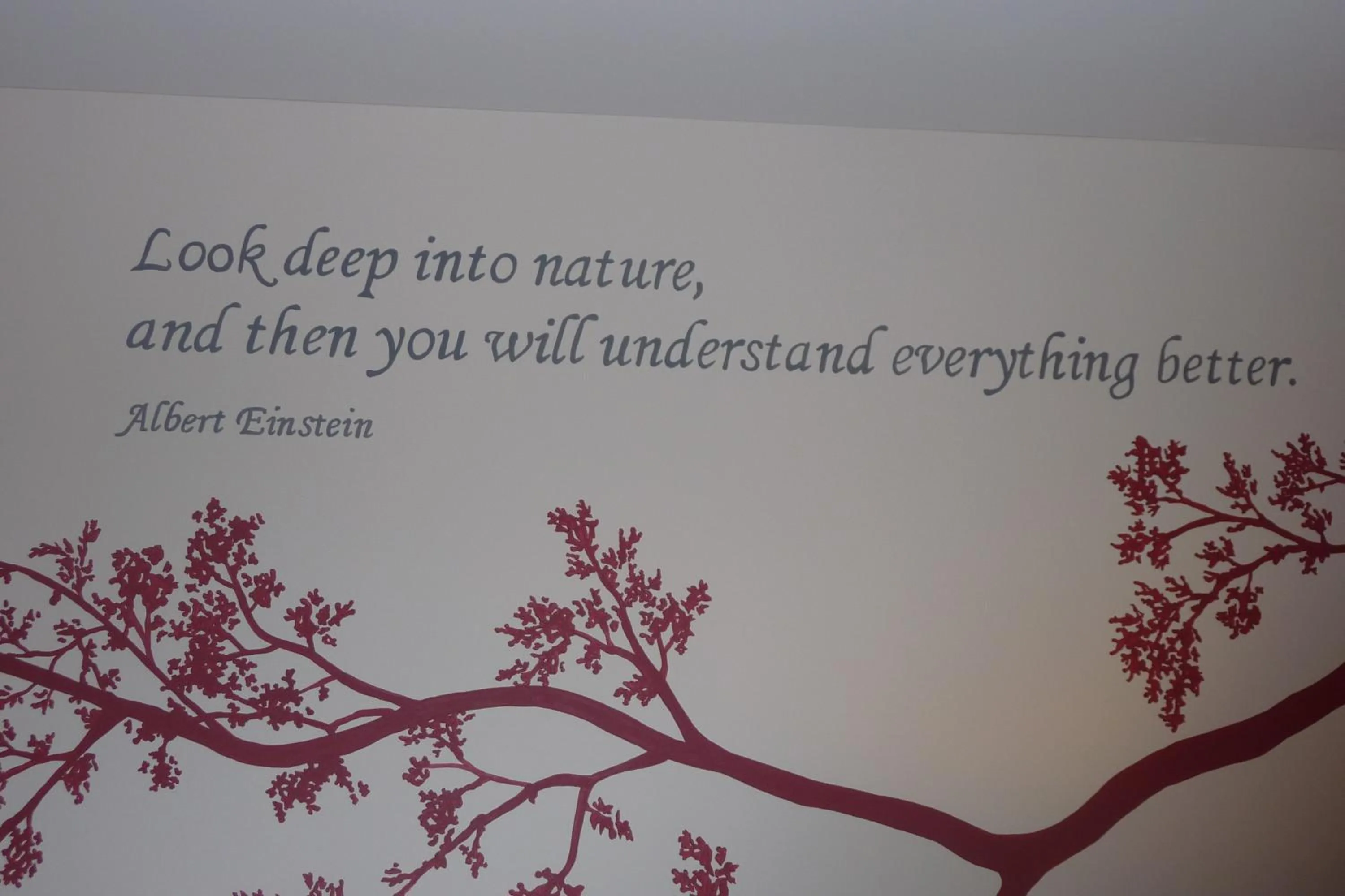 Decorative detail in B&B Riche Terre