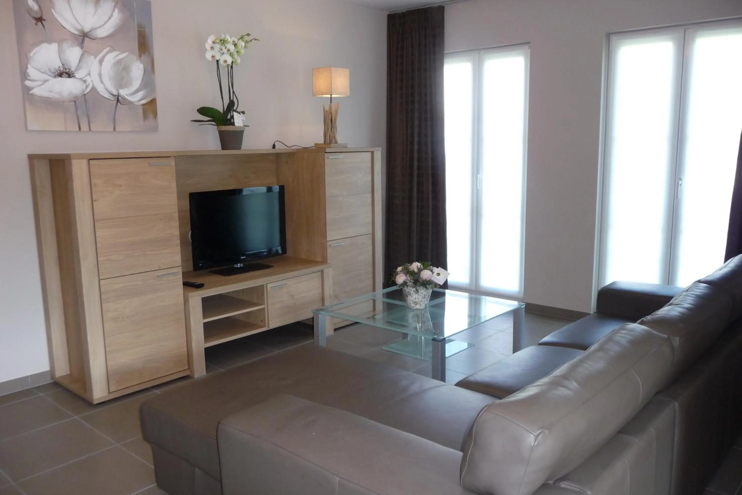 TV and multimedia in B&B Riche Terre